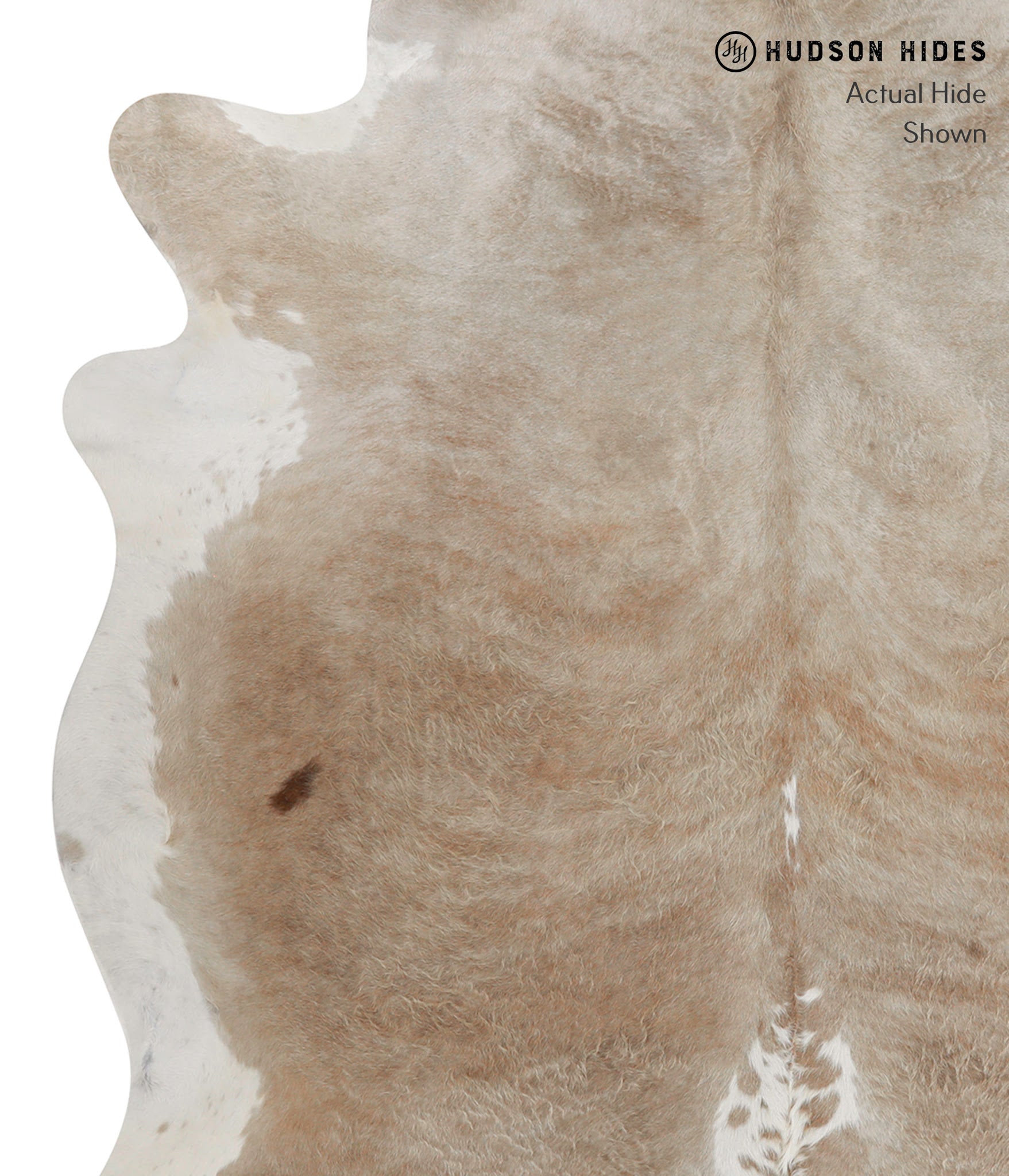 Caramel Cowhide Rug #83607