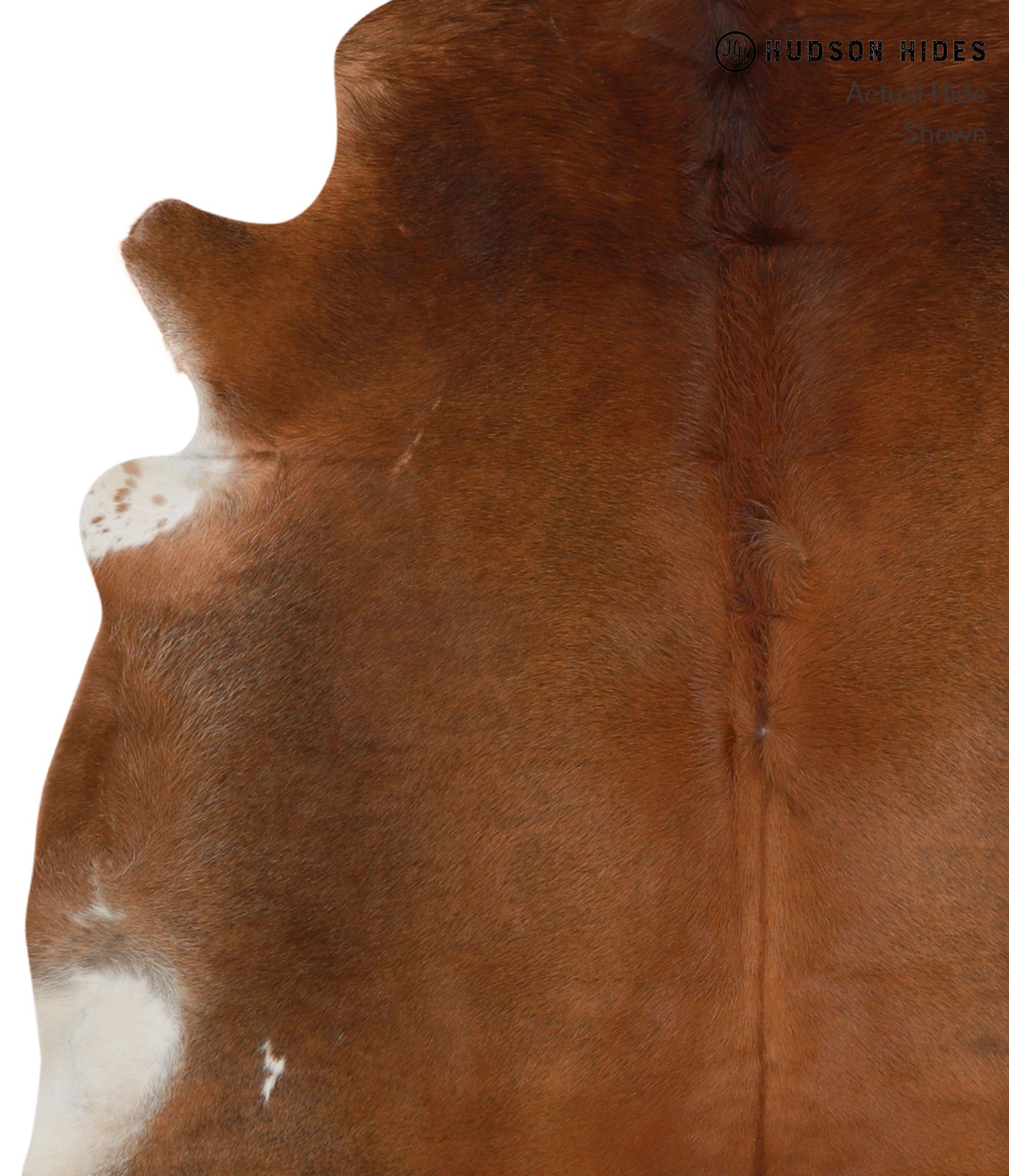 Caramel Cowhide Rug #83757