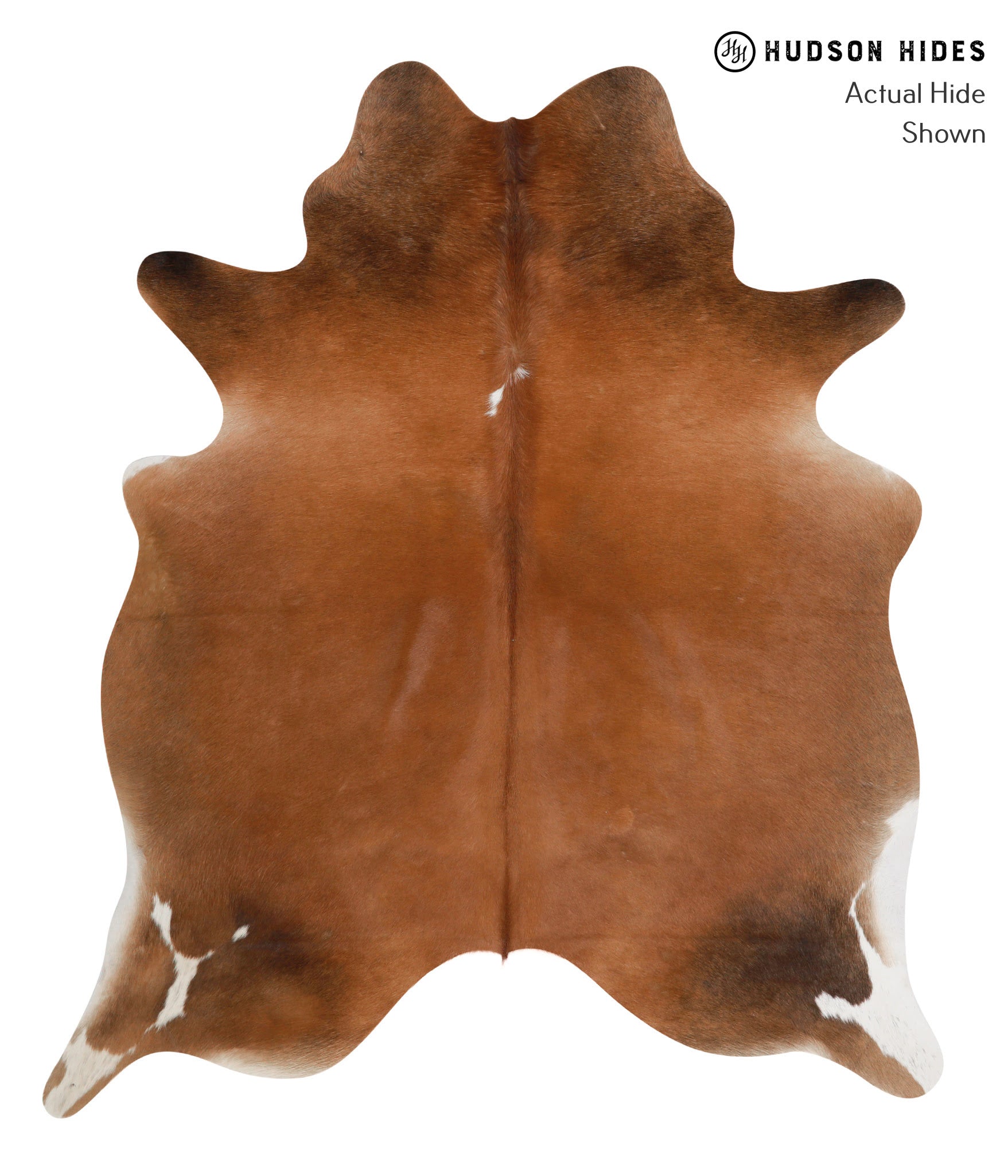 Brown with Red Cowhide Rug #83798