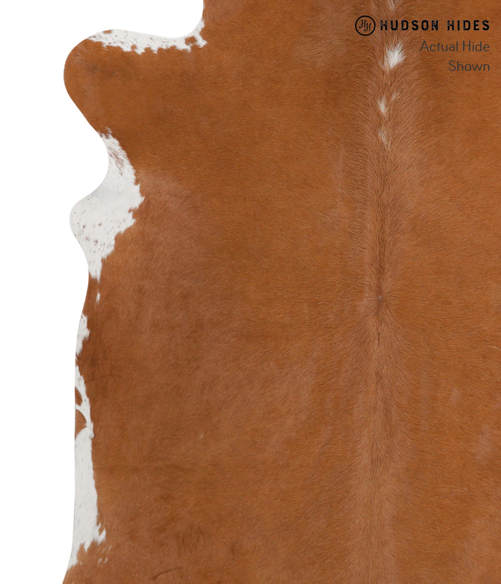 Solid Brown Cowhide Rug #83847