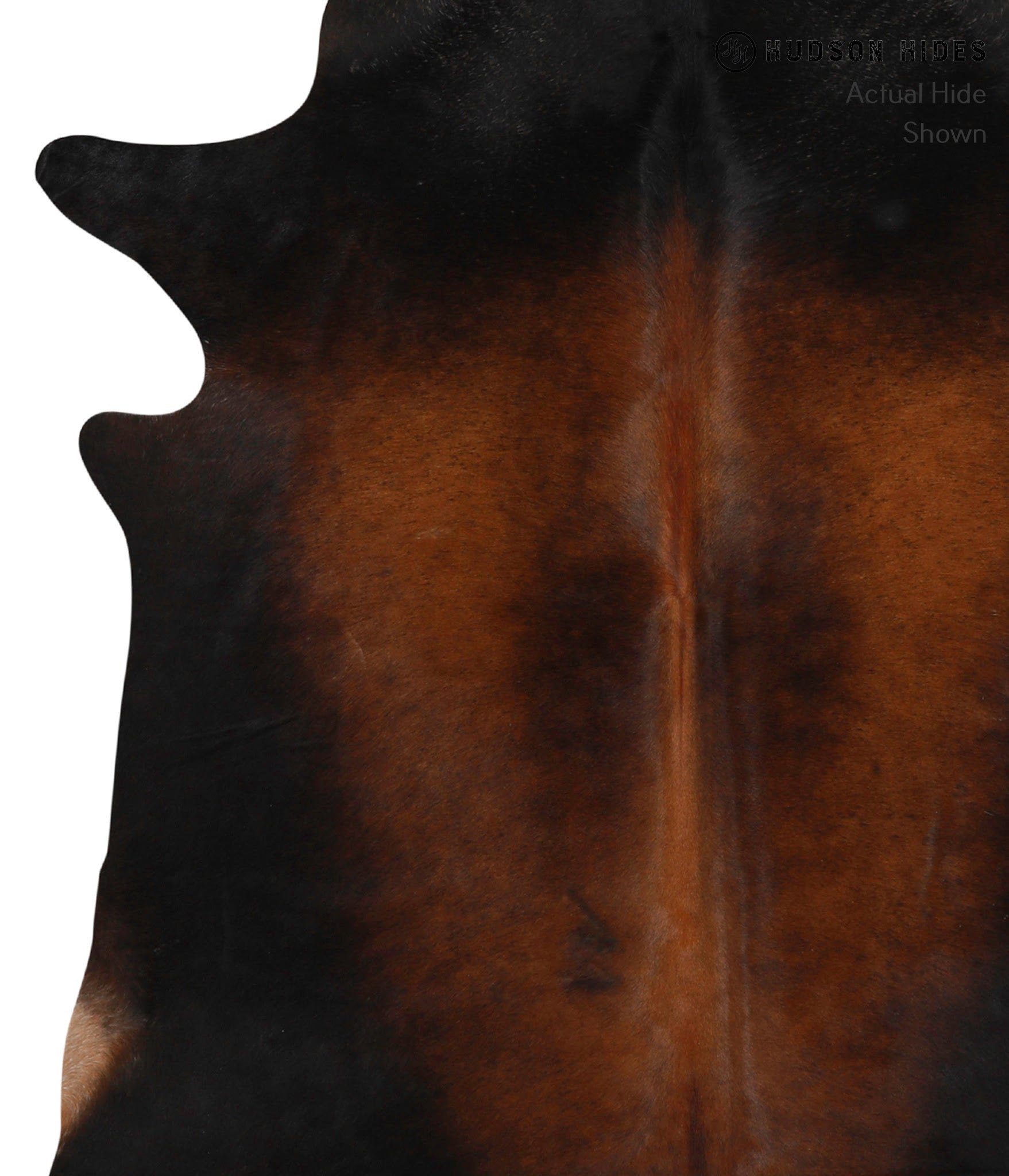 Chocolate Cowhide Rug #83869