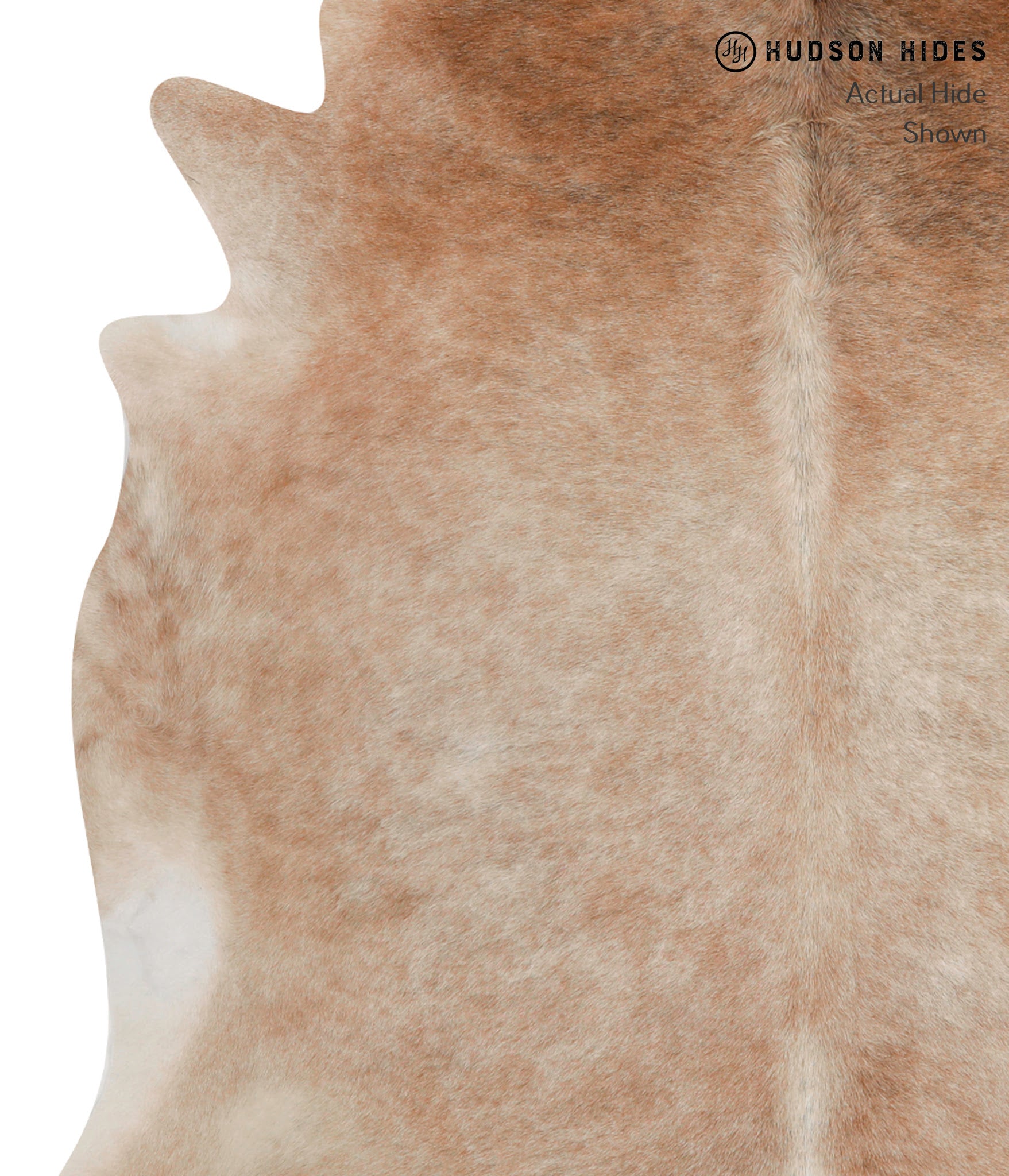 Caramel Cowhide Rug #83980