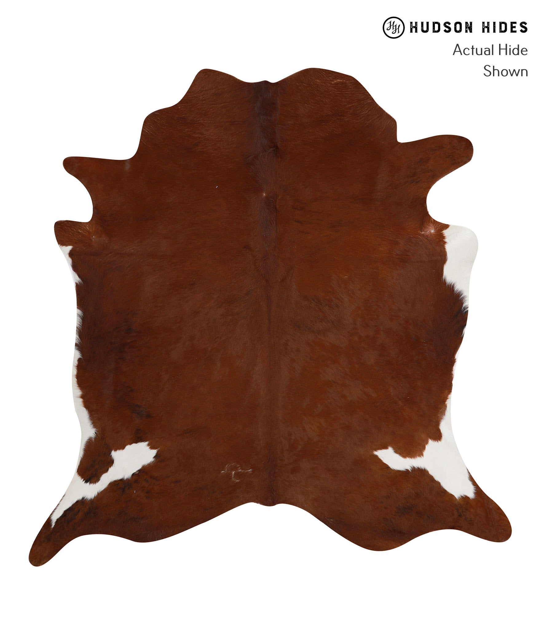 Brown and White Regular Cowhide Rug #84285