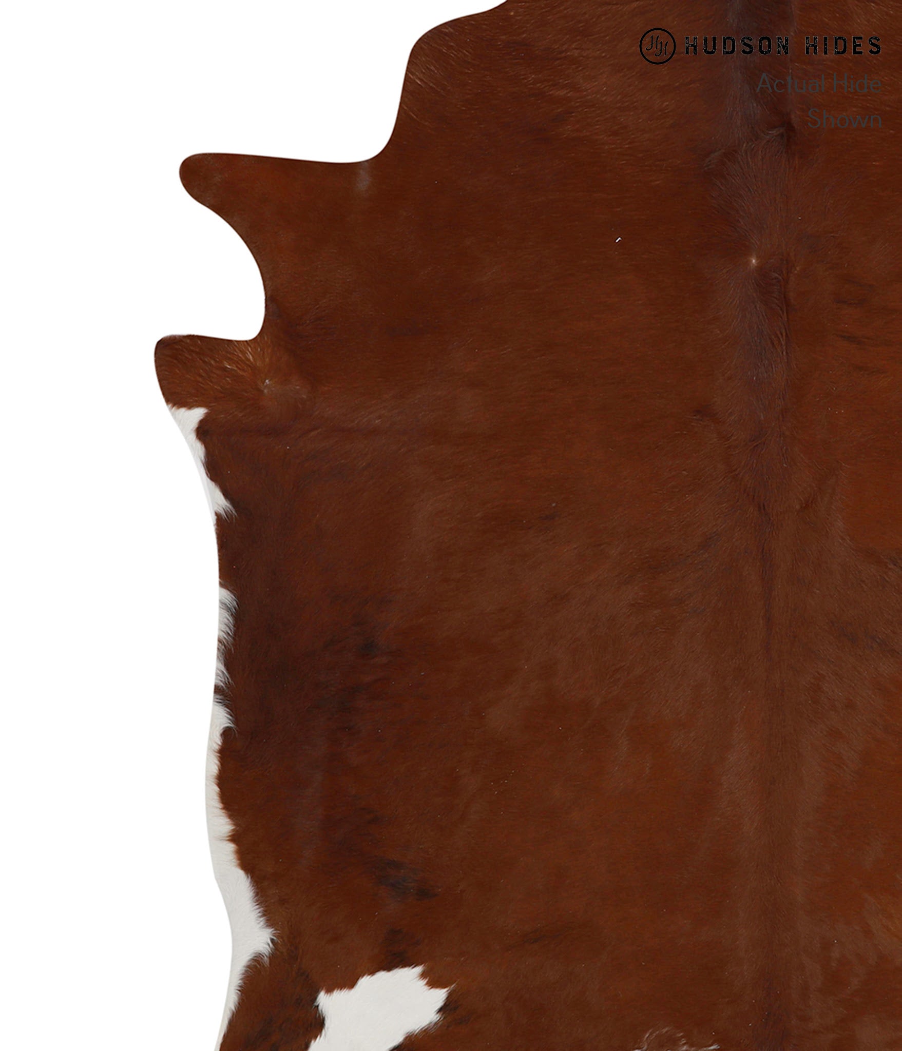 Brown and White Regular Cowhide Rug #84285