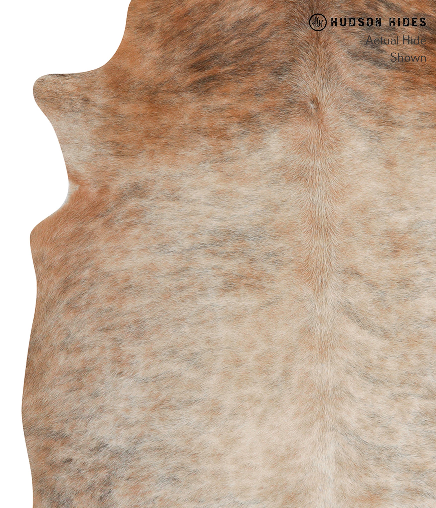 Caramel Cowhide Rug #84415