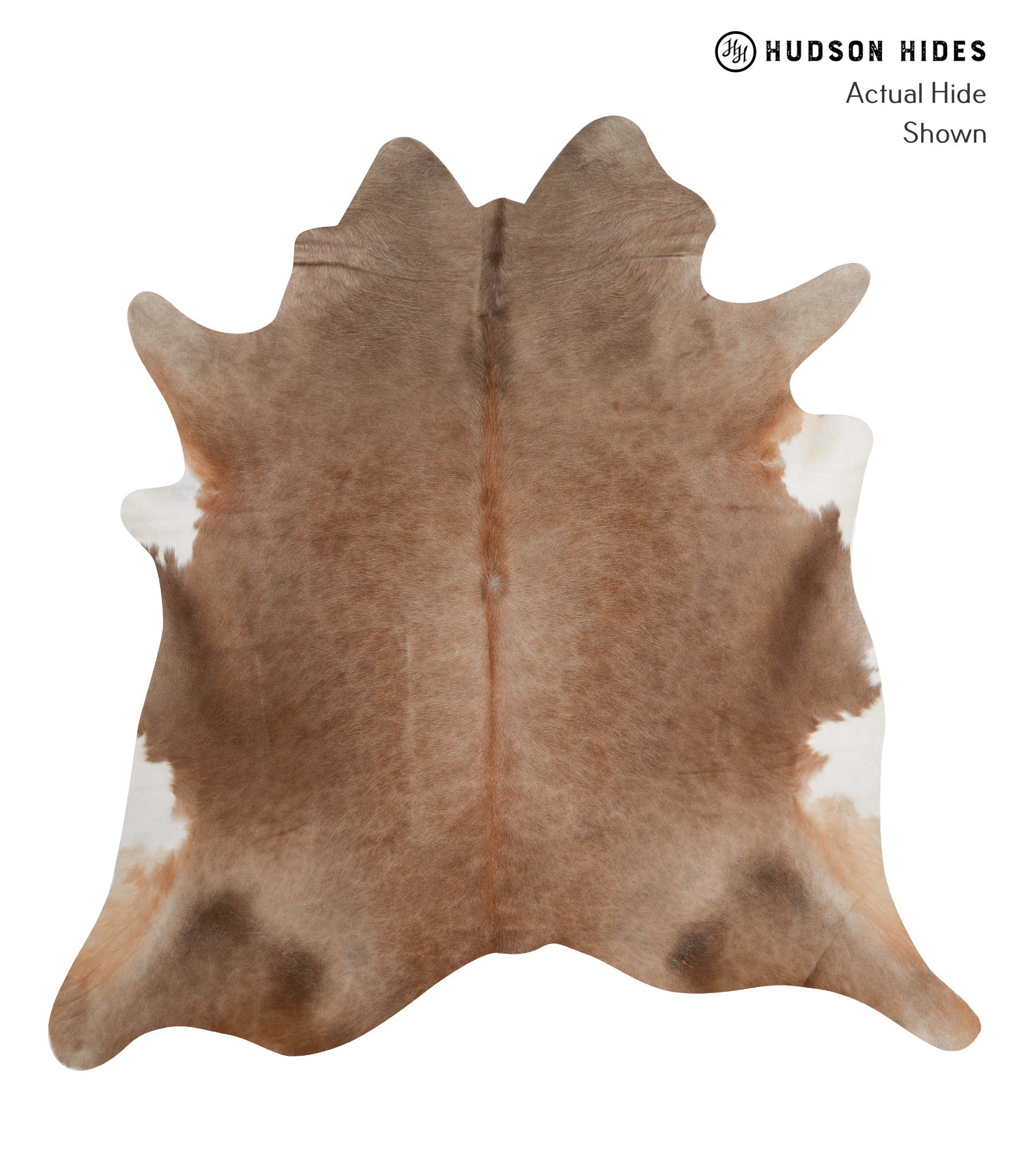 Caramel Cowhide Rug #84513