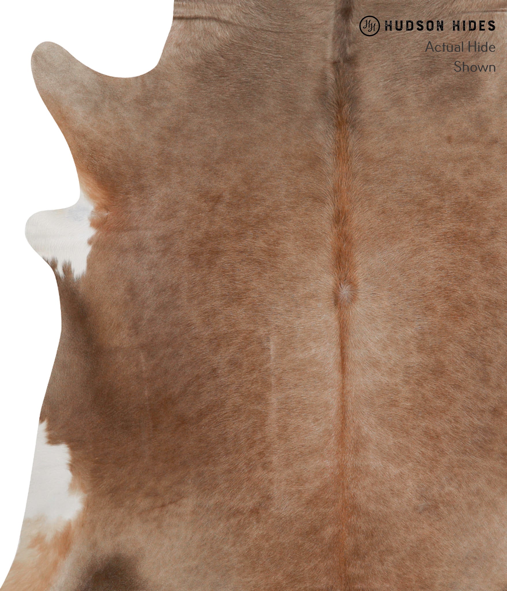 Caramel Cowhide Rug #84513