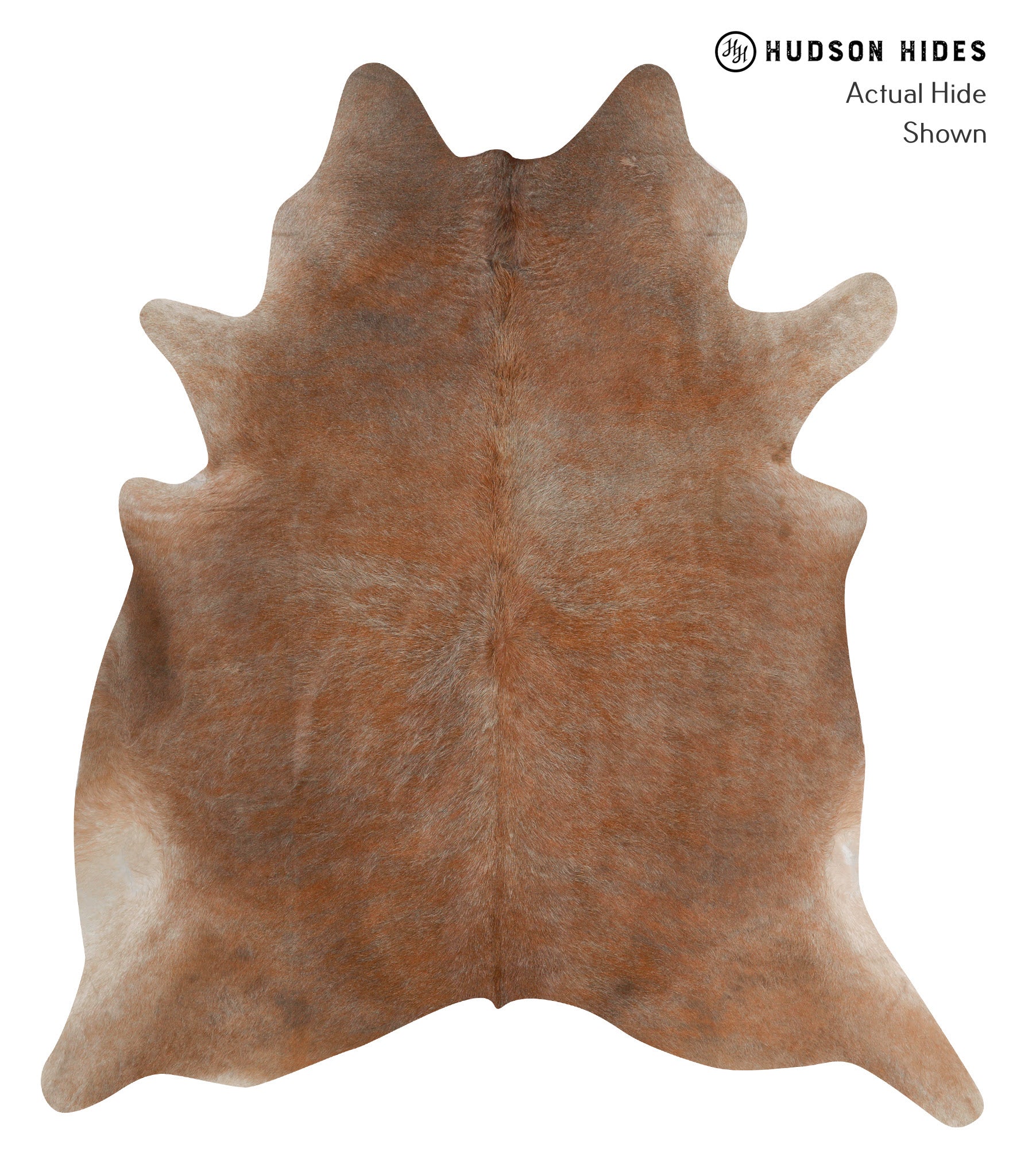 Caramel Cowhide Rug #84517