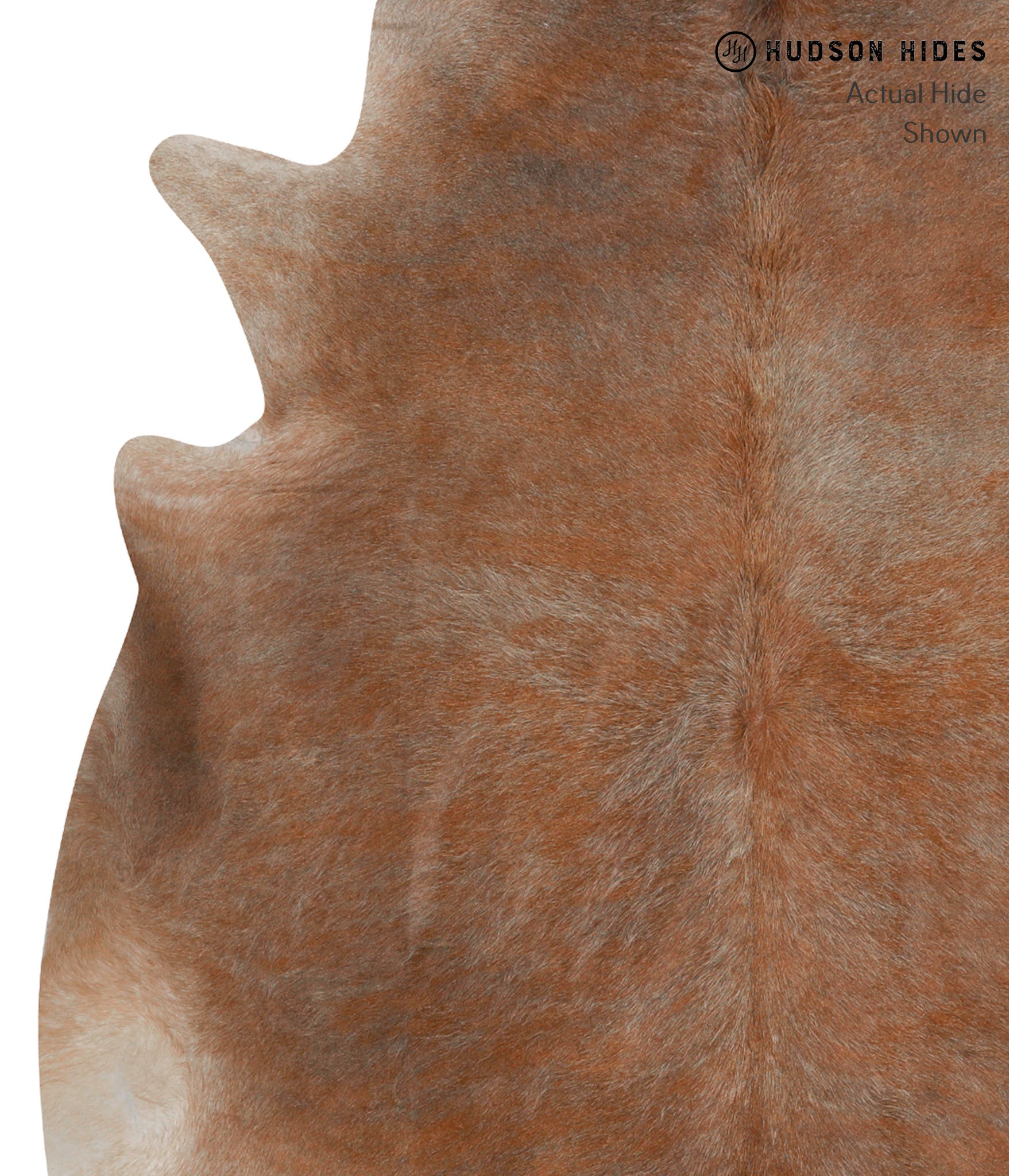 Caramel Cowhide Rug #84517