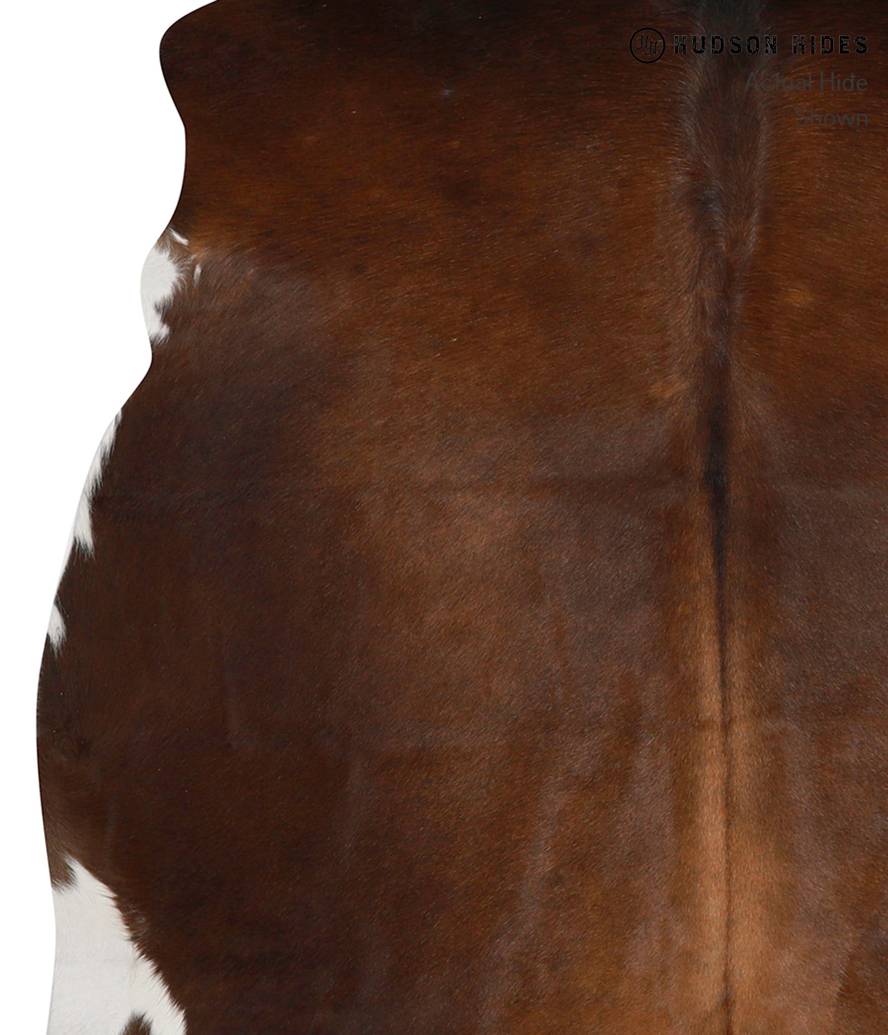 Chocolate Cowhide Rug #84655