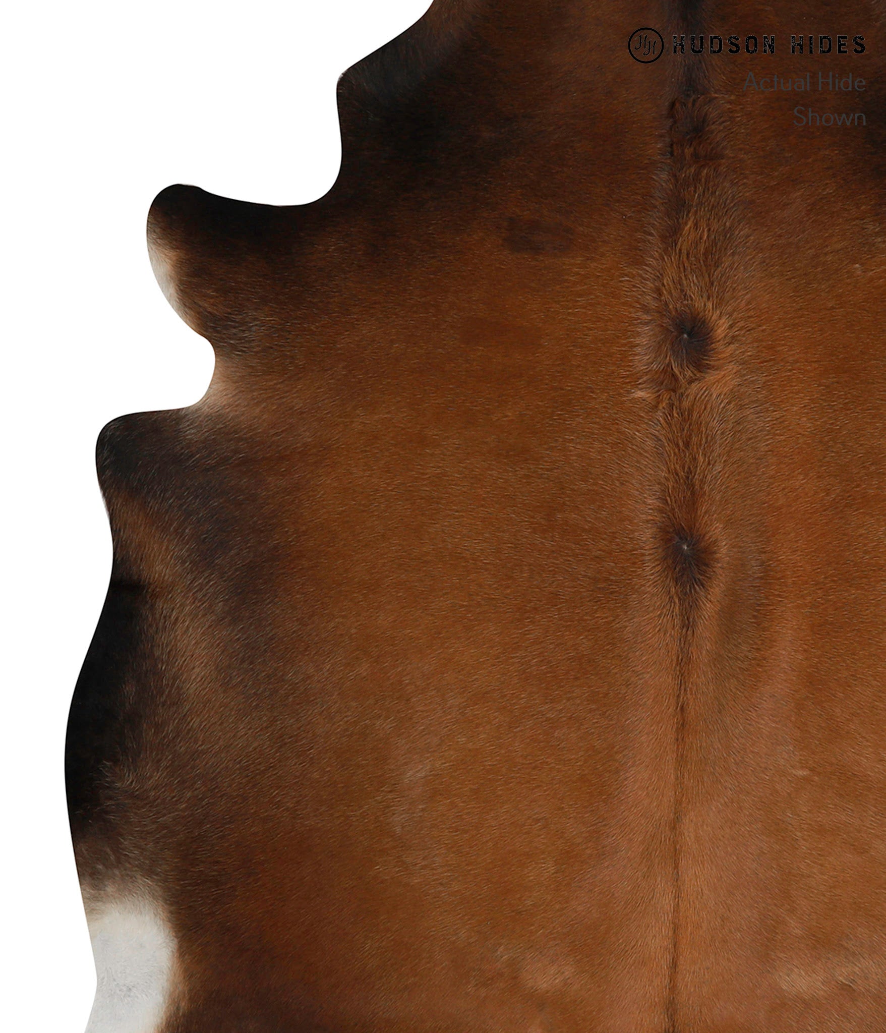 Chocolate Cowhide Rug #84700