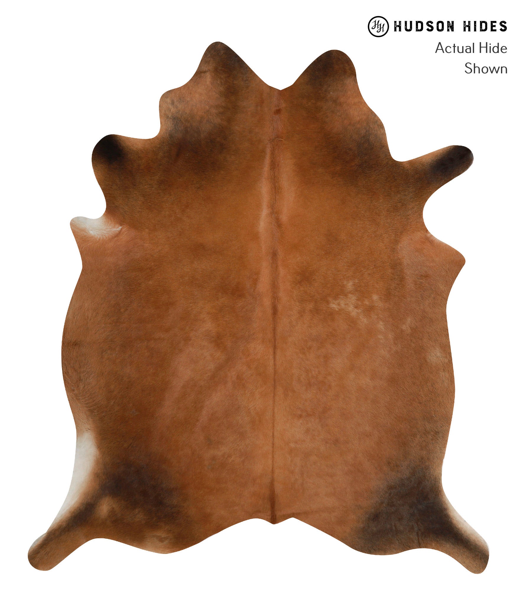 Solid Brown Cowhide Rug #84769