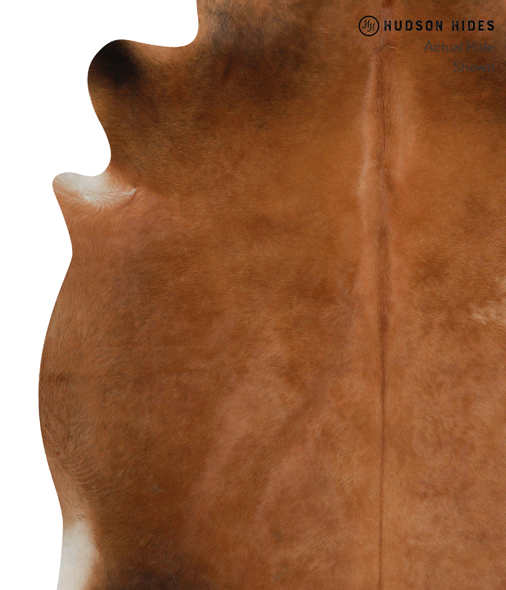 Solid Brown Cowhide Rug #84769