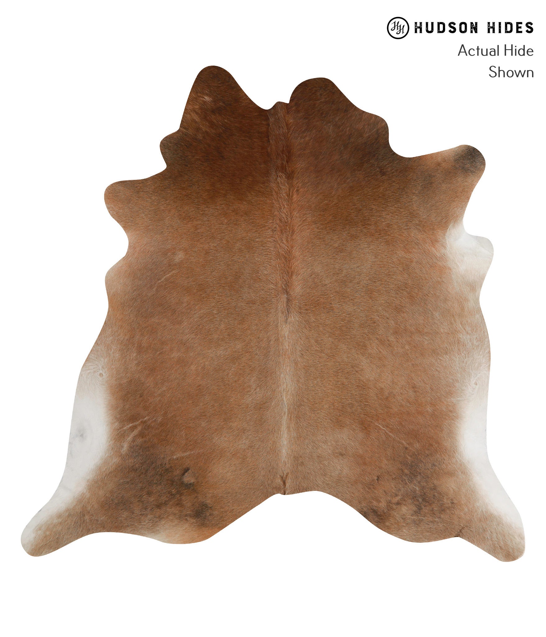 Caramel Cowhide Rug #84771