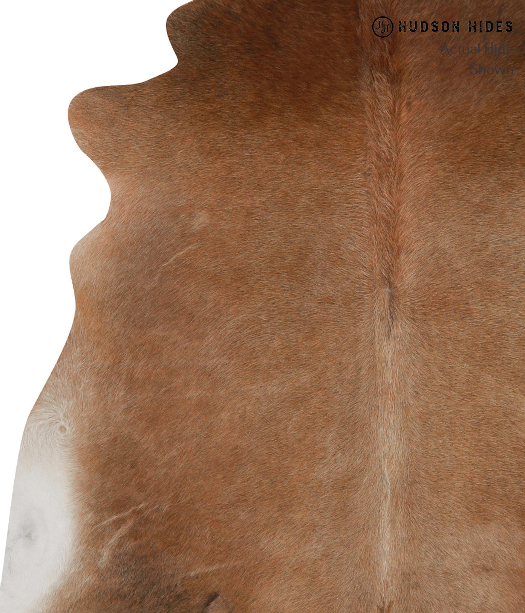 Caramel Cowhide Rug #84771