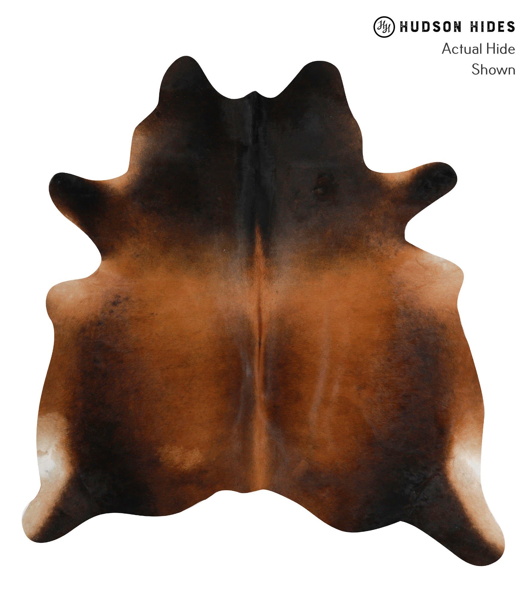 Brown with Red Cowhide Rug #84783