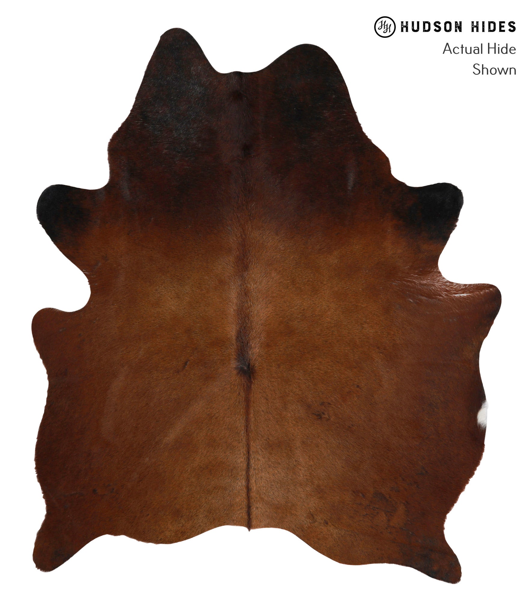 Chocolate Cowhide Rug #85255