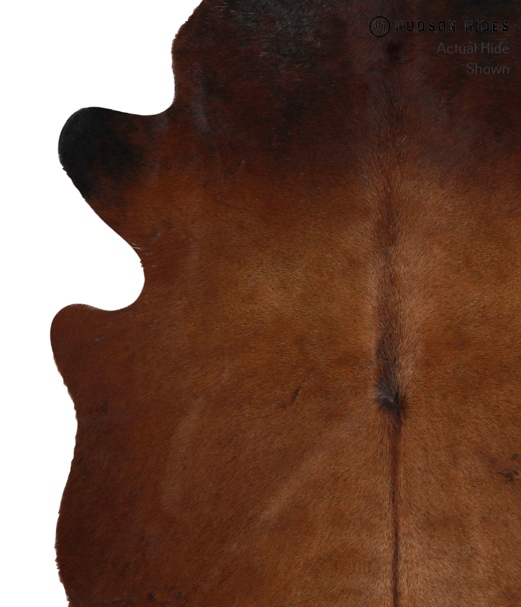 Chocolate Cowhide Rug #85255