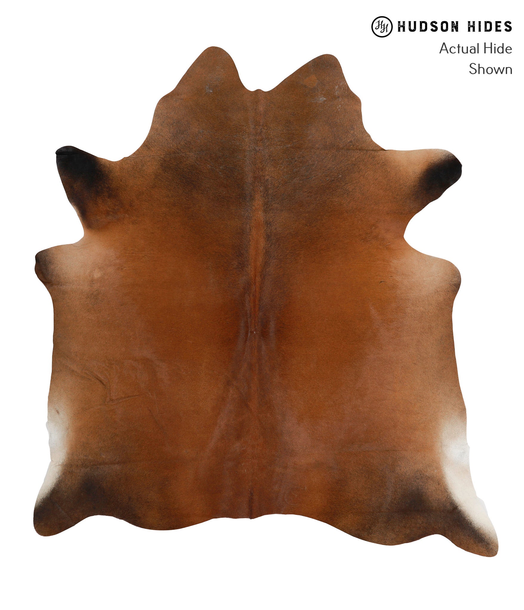 Brown with Red Cowhide Rug #85392