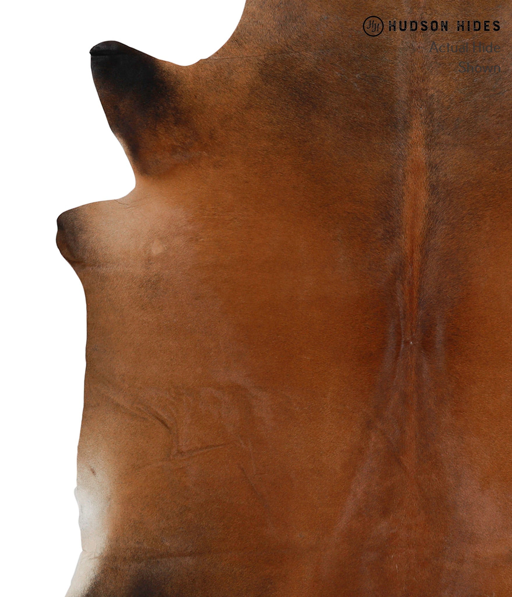 Brown with Red Cowhide Rug #85392