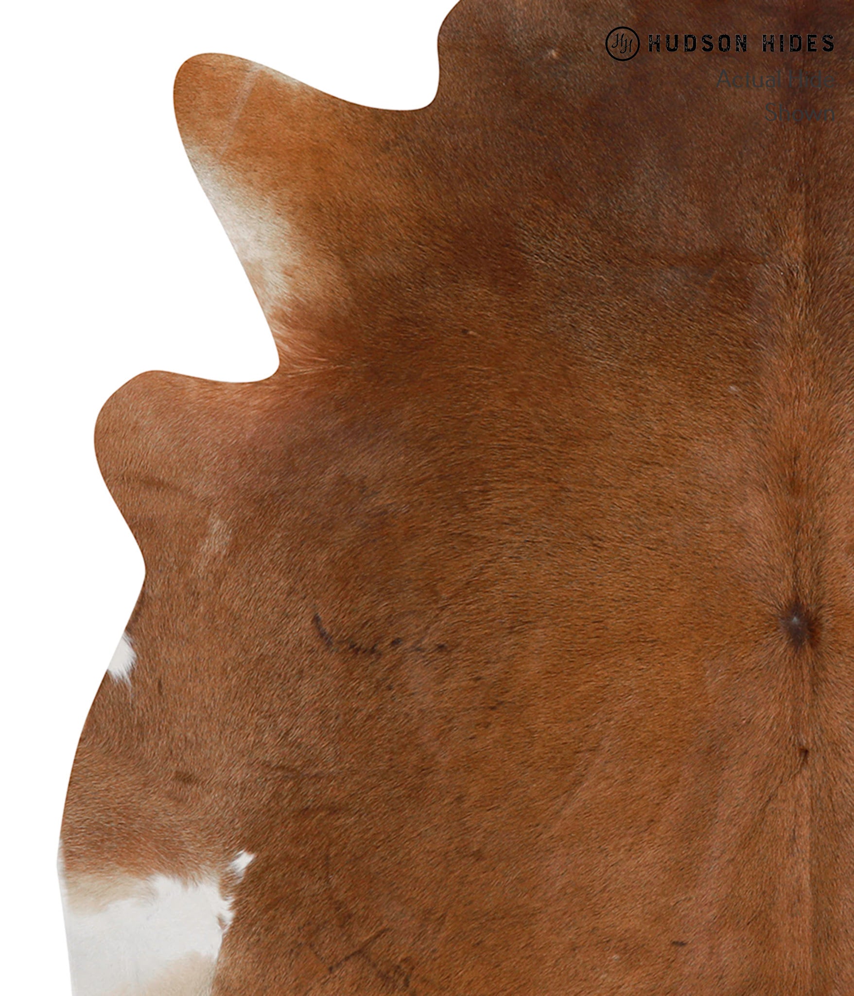 Brown with Red Cowhide Rug #85478