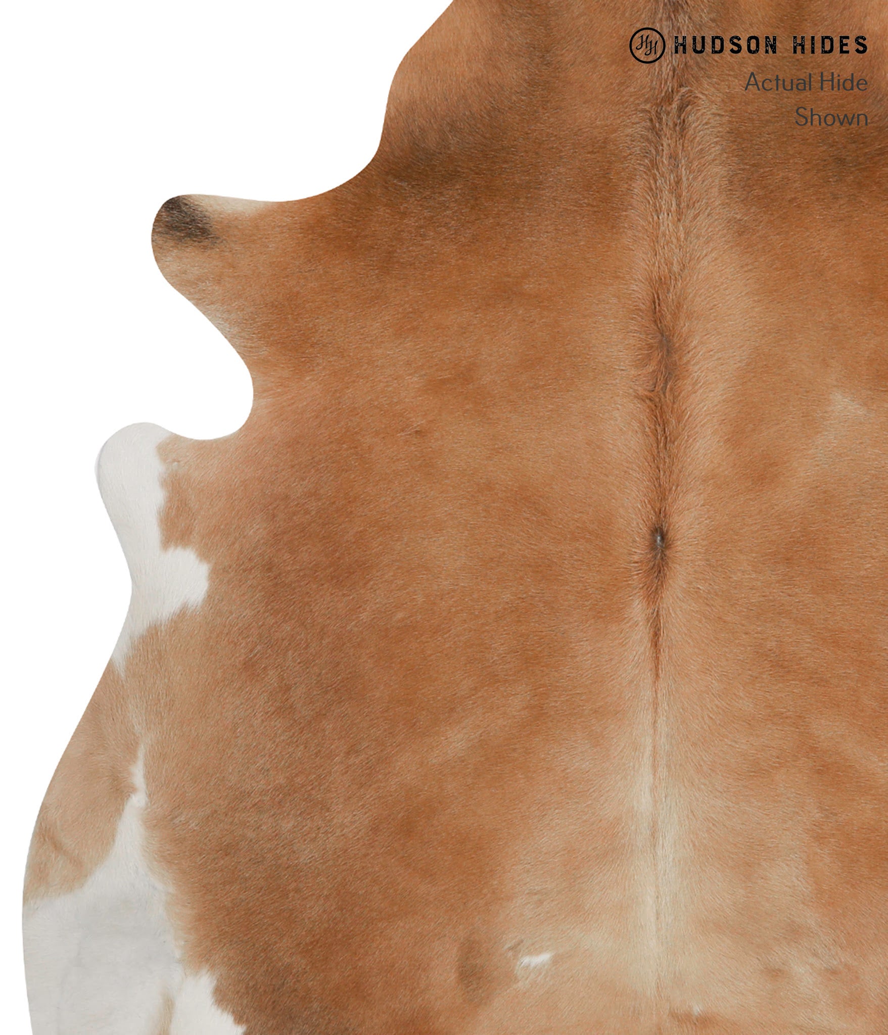 Caramel Cowhide Rug #85483