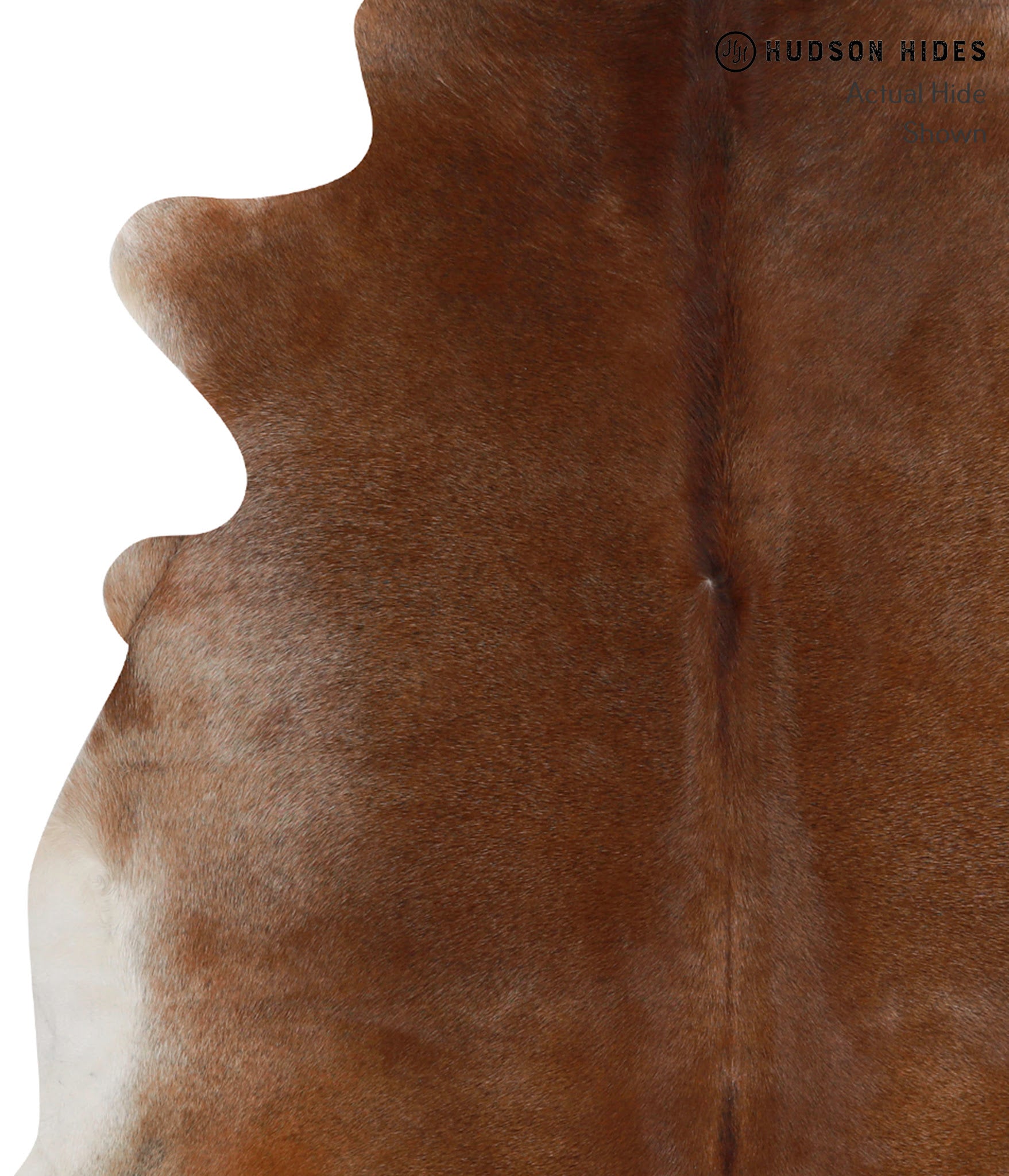 Caramel Cowhide Rug #85486