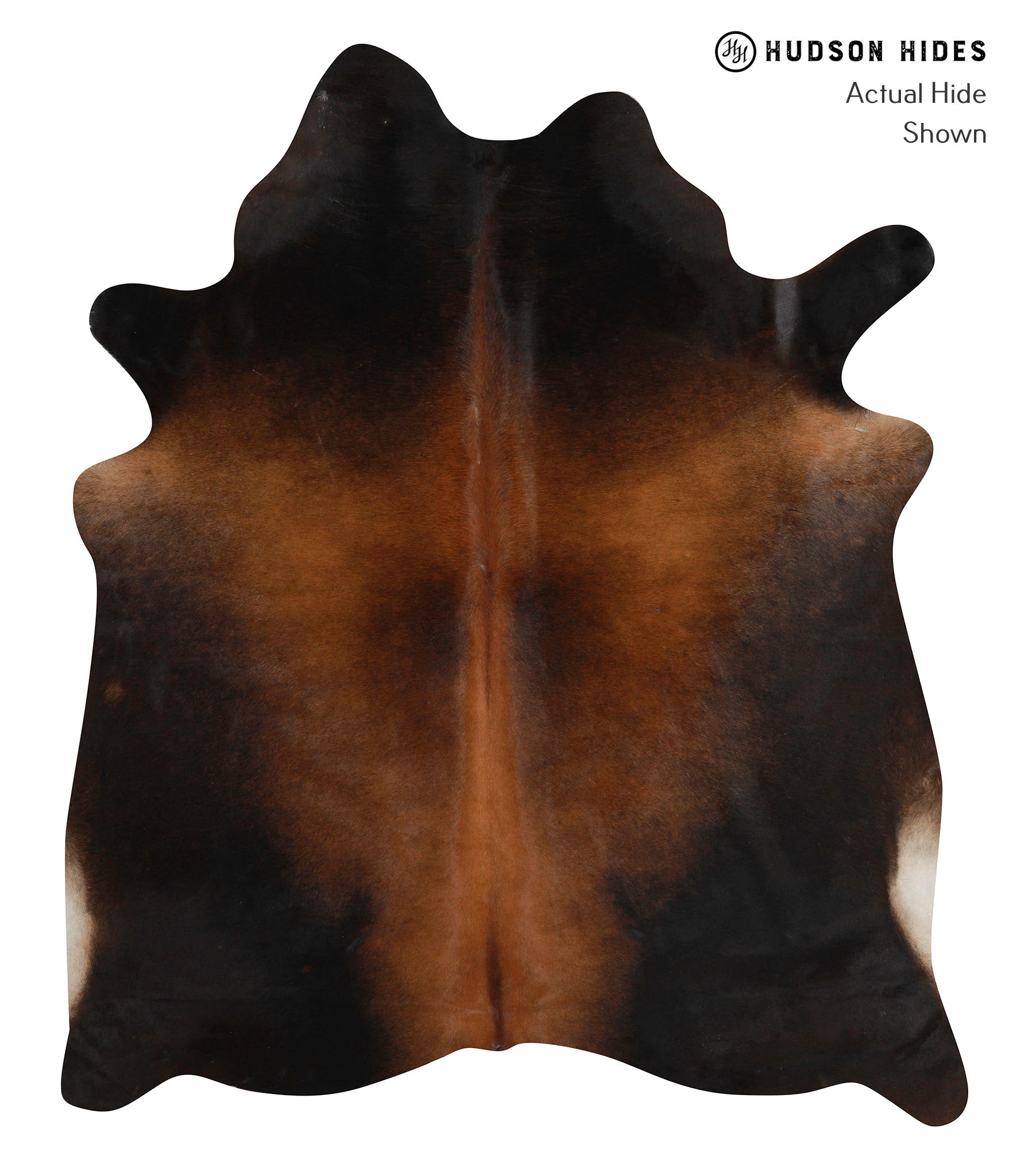 Brown with Red Cowhide Rug #85495