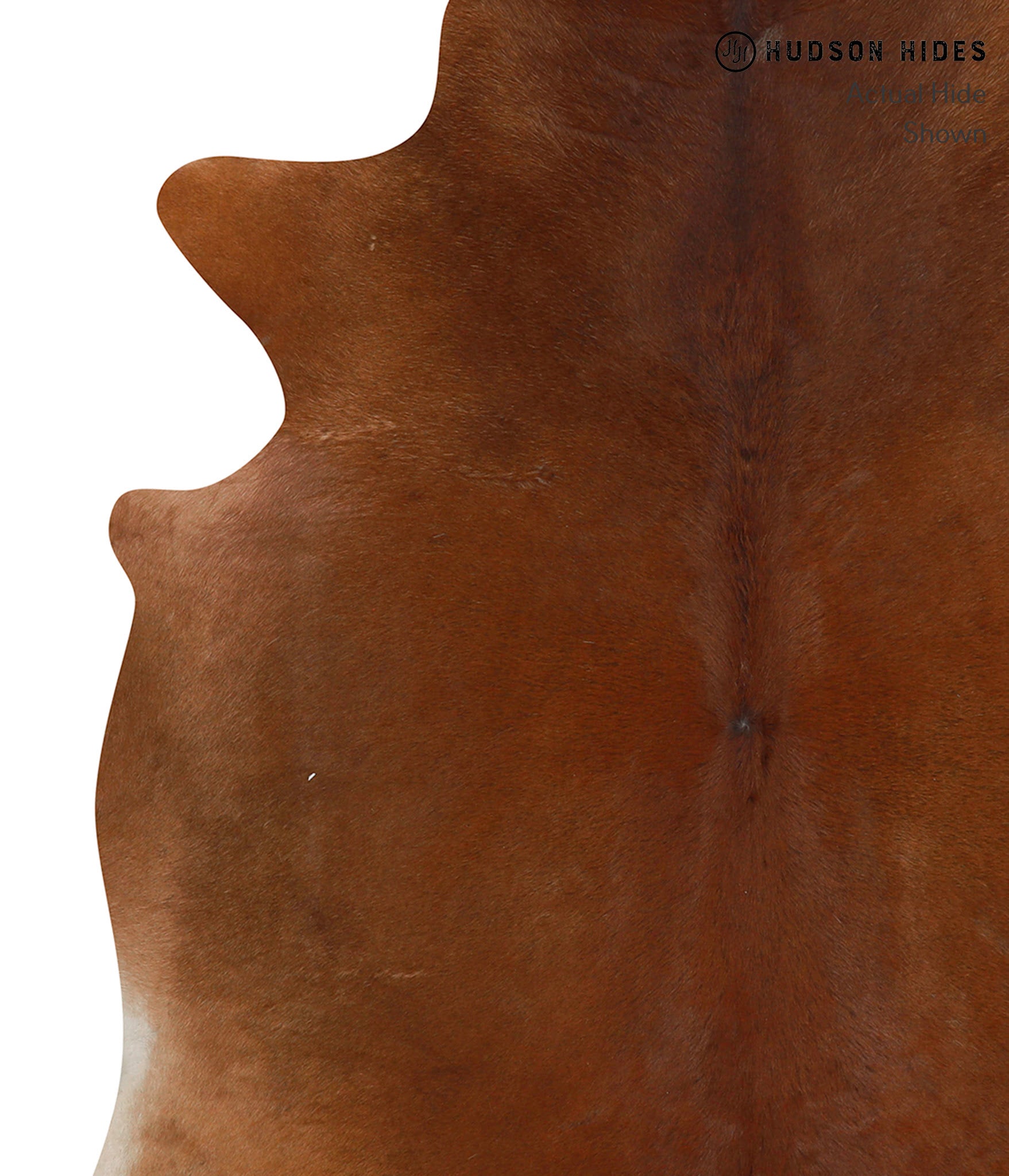 Solid Brown Cowhide Rug #85609