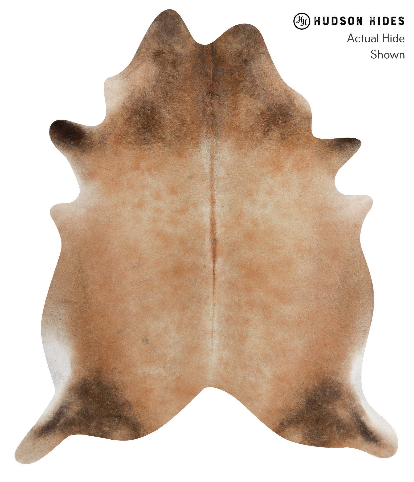 Brown with Red Cowhide Rug #85625