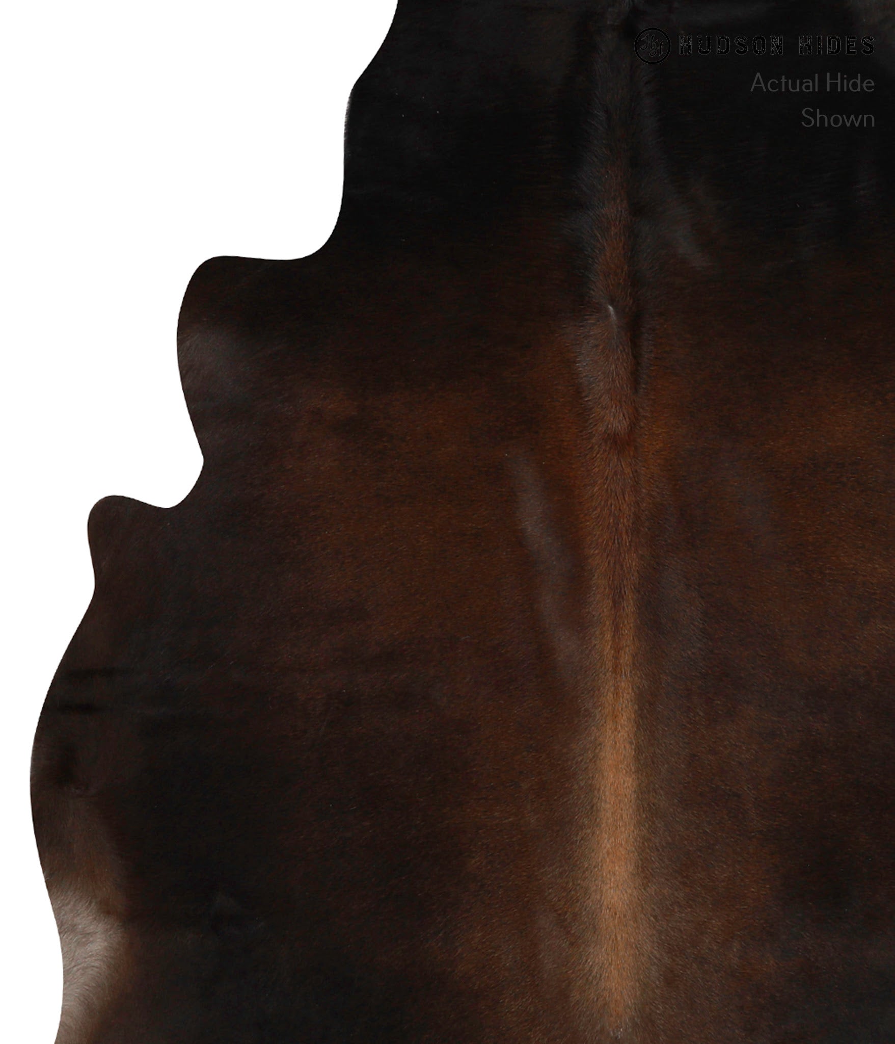 Chocolate Cowhide Rug #85656