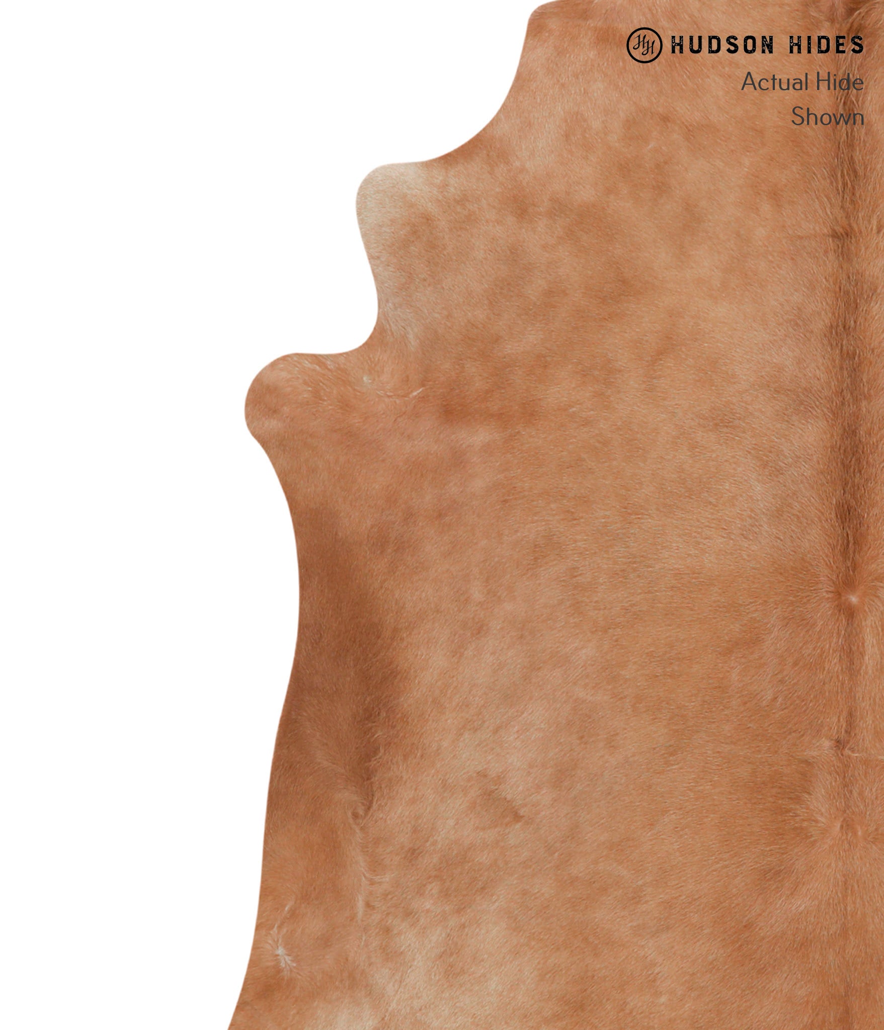 Solid Brown Cowhide Rug #86014