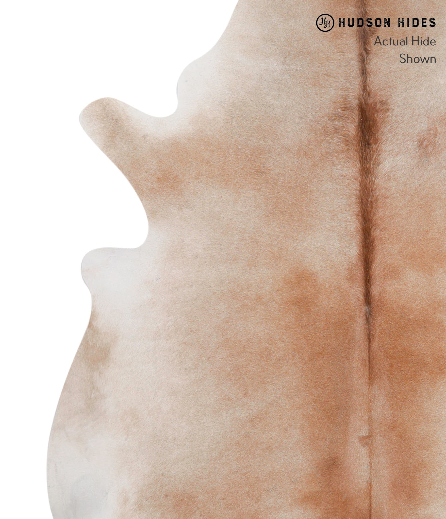 Caramel Cowhide Rug #86053