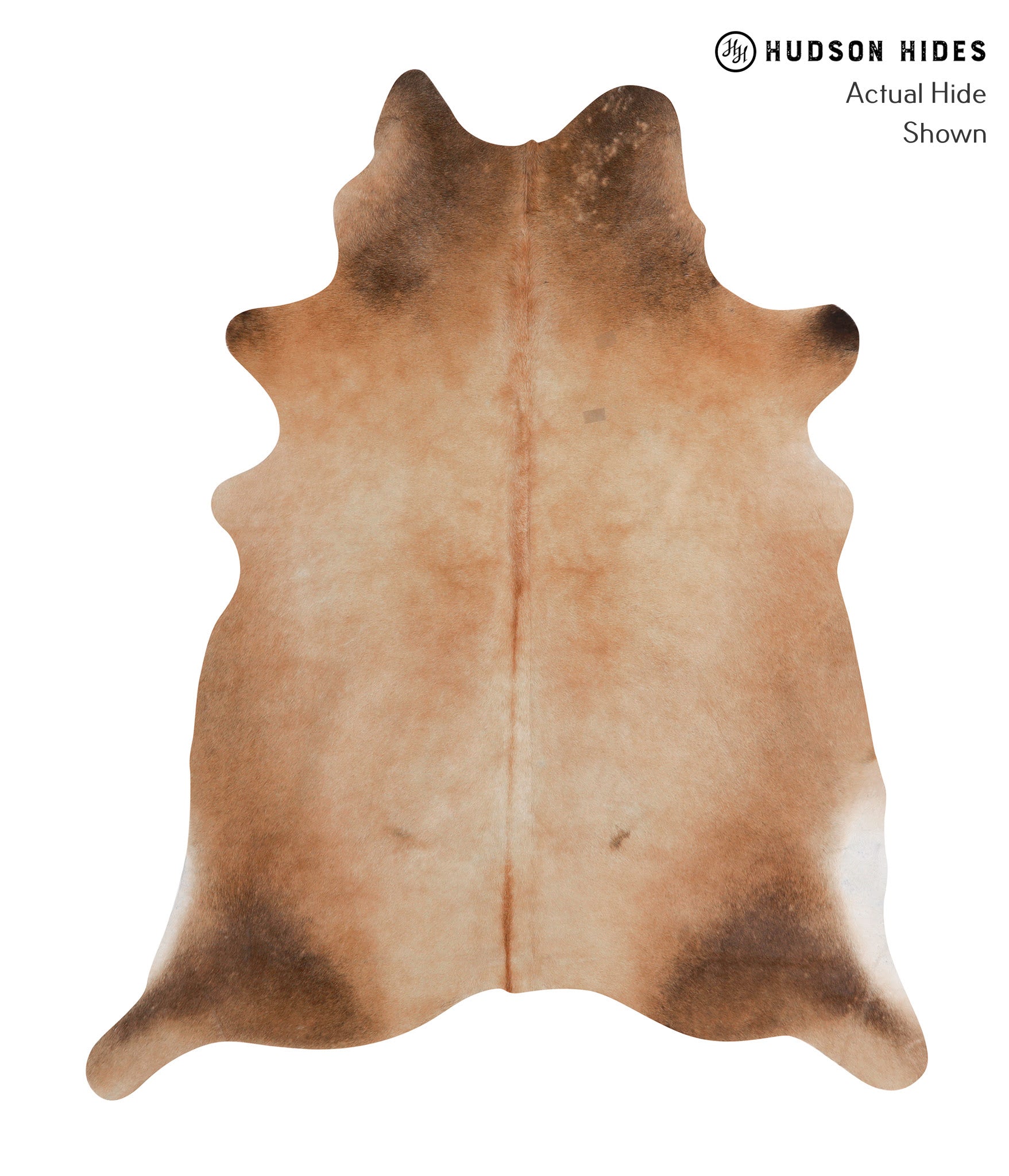 Caramel Cowhide Rug #86285