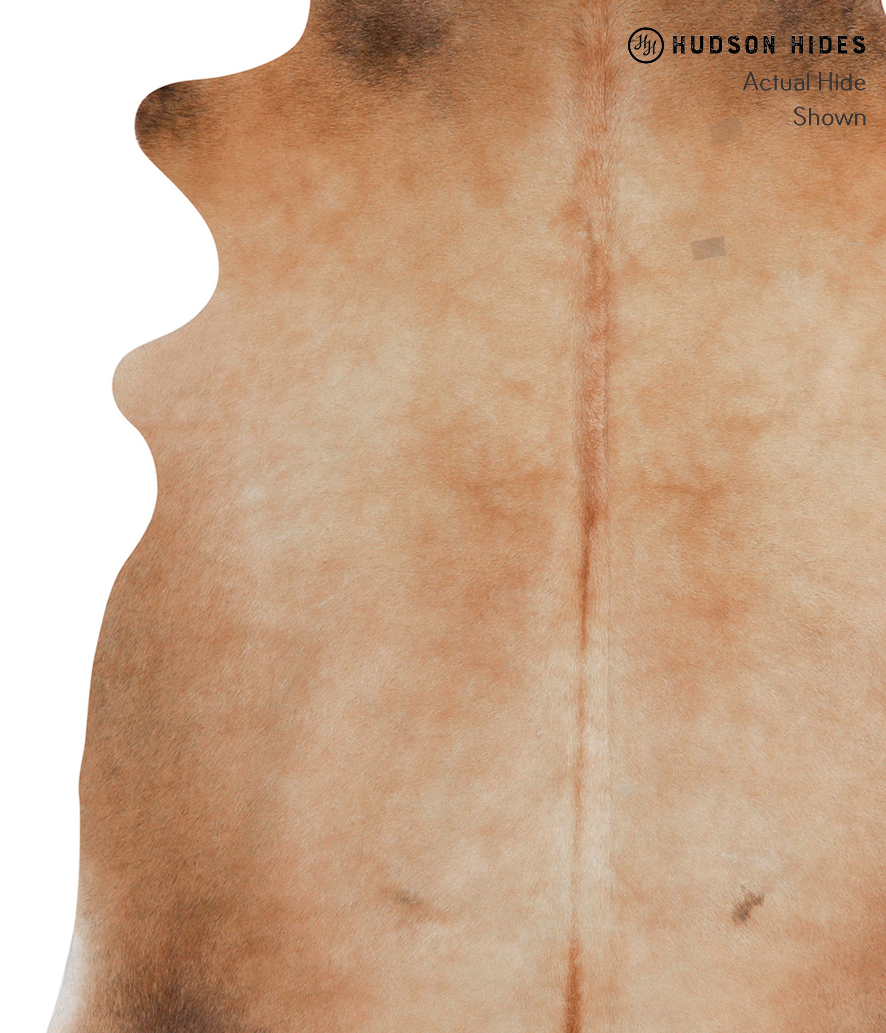 Caramel Cowhide Rug #86285