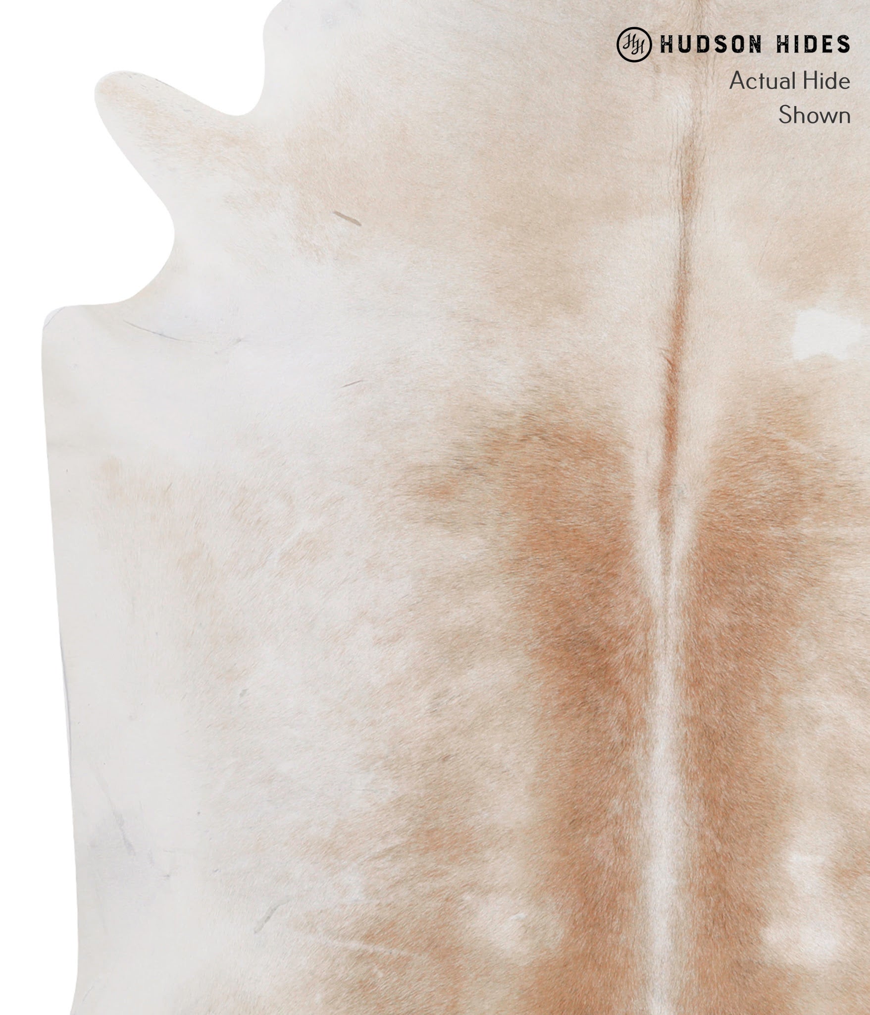 Ivory with Beige Cowhide Rug #89945