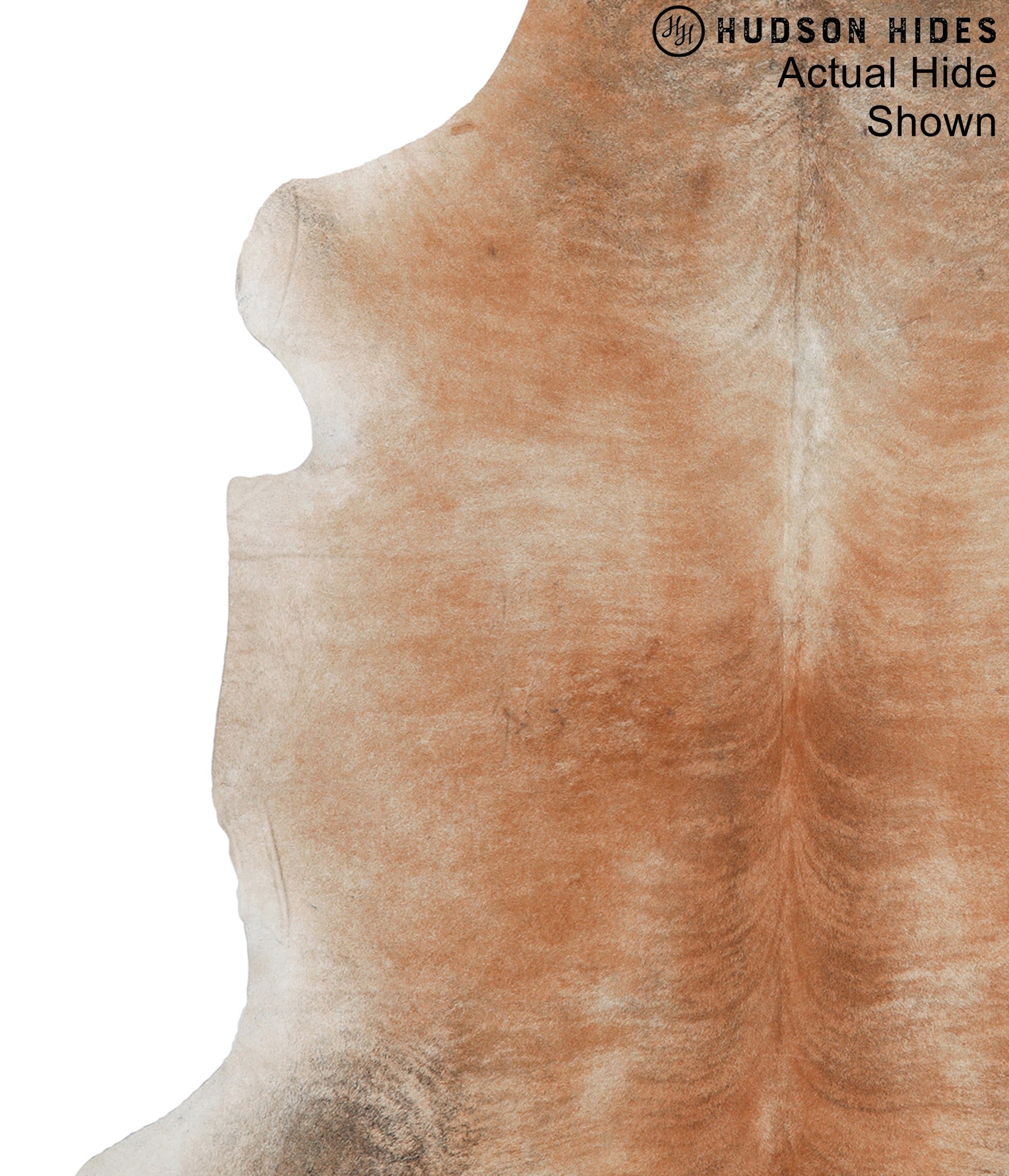 Caramel Cowhide Rug #94204