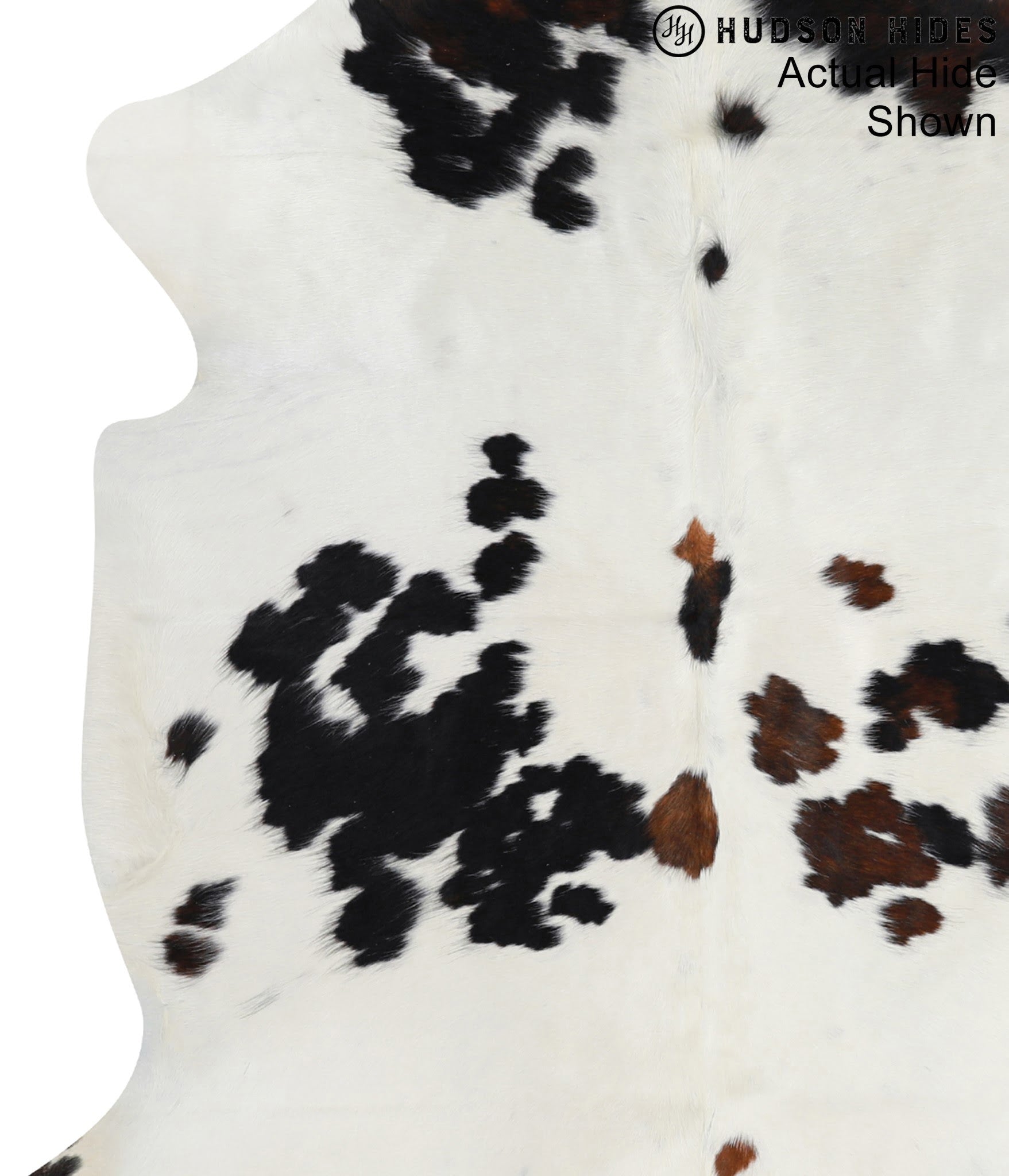 Tricolor Cowhide Rug #95202