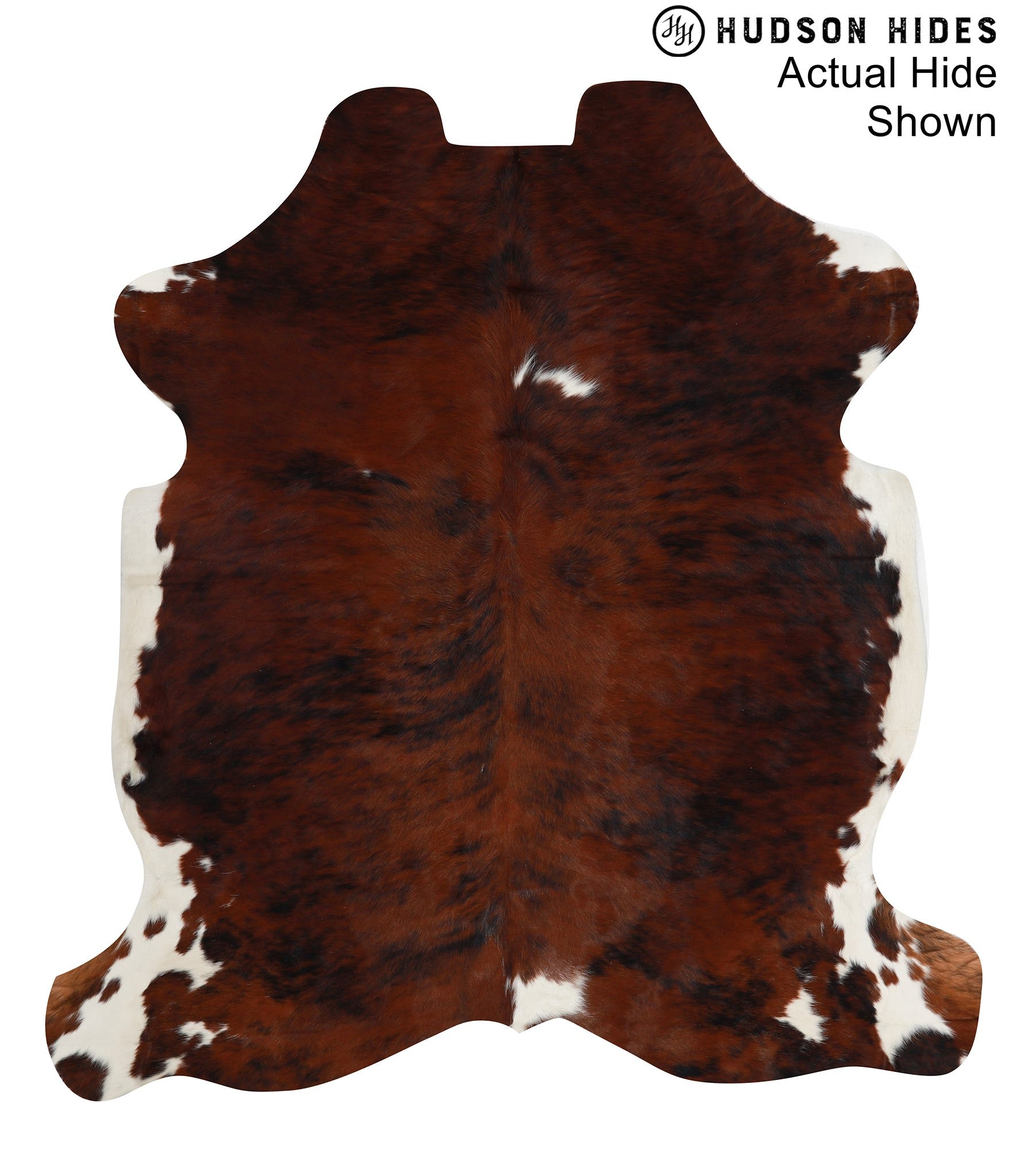 Tricolor Cowhide Rug #95282