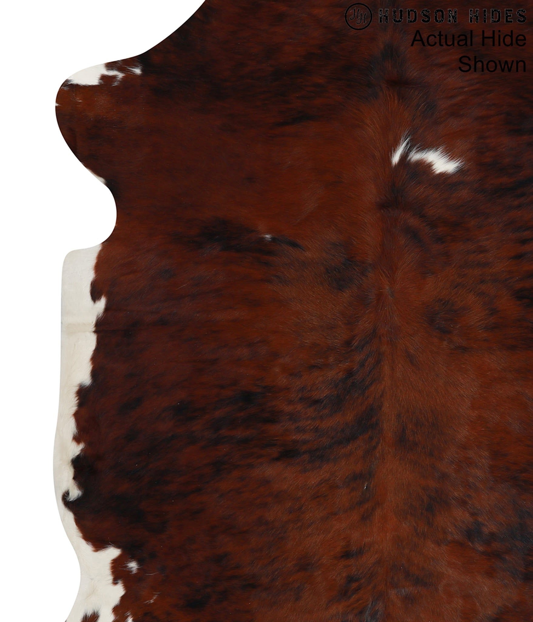 Tricolor Cowhide Rug #95282