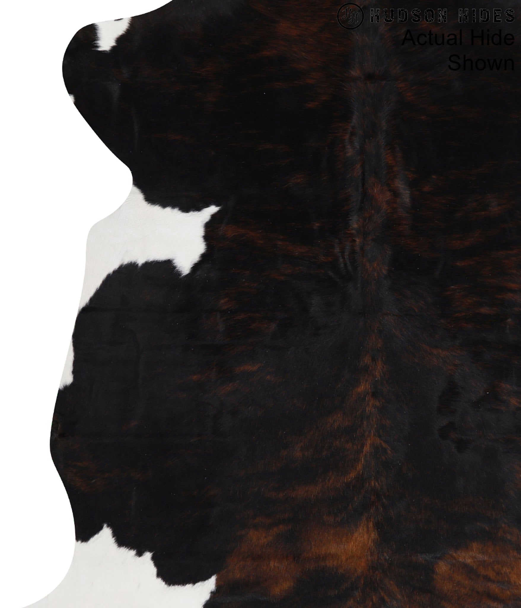 Tricolor Cowhide Rug #95291