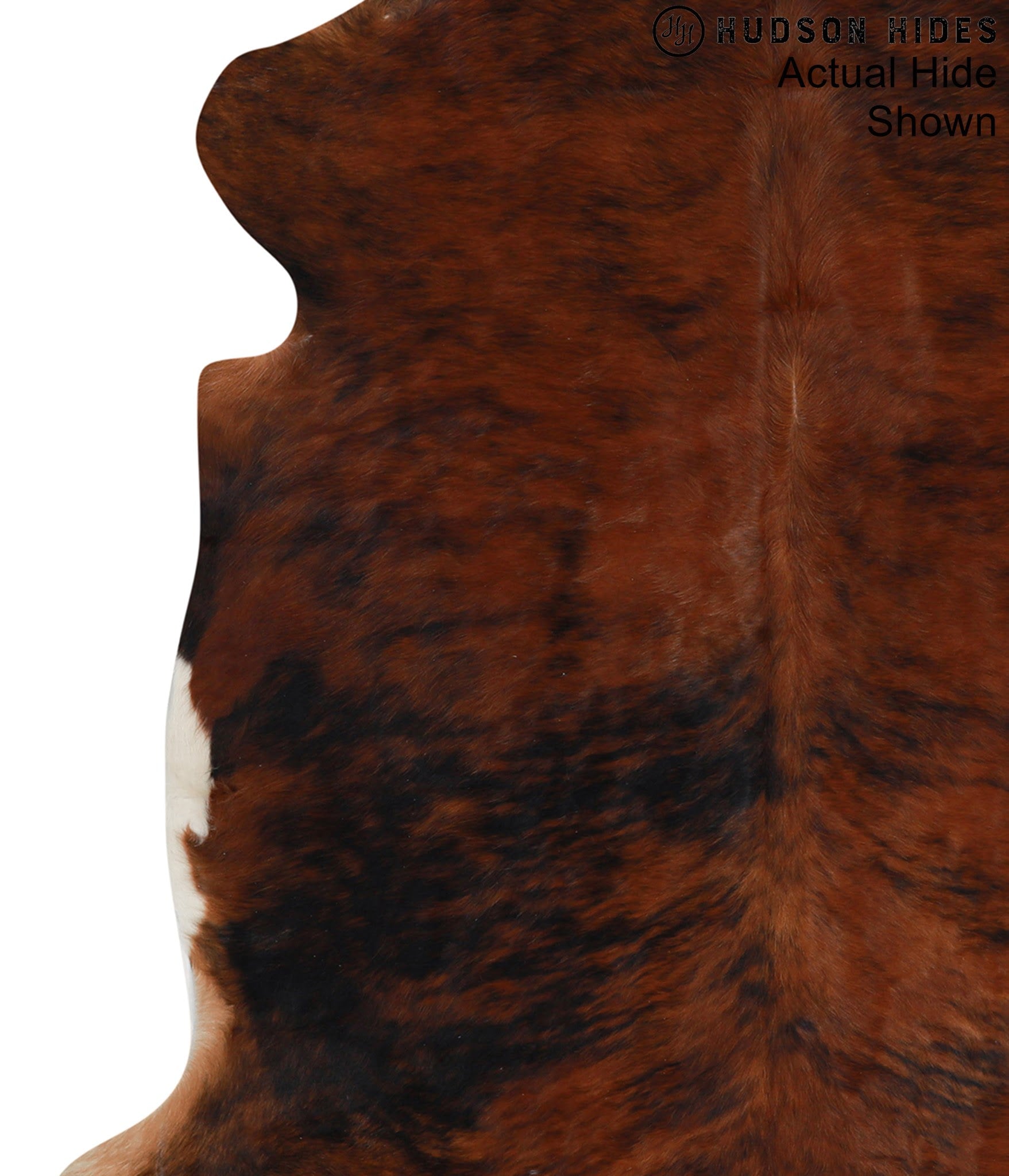 Medium Brindle Cowhide Rug #95364