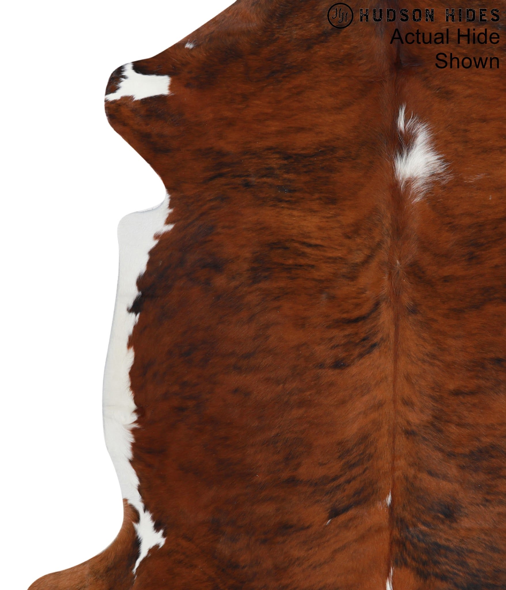 Medium Brindle Cowhide Rug #95400