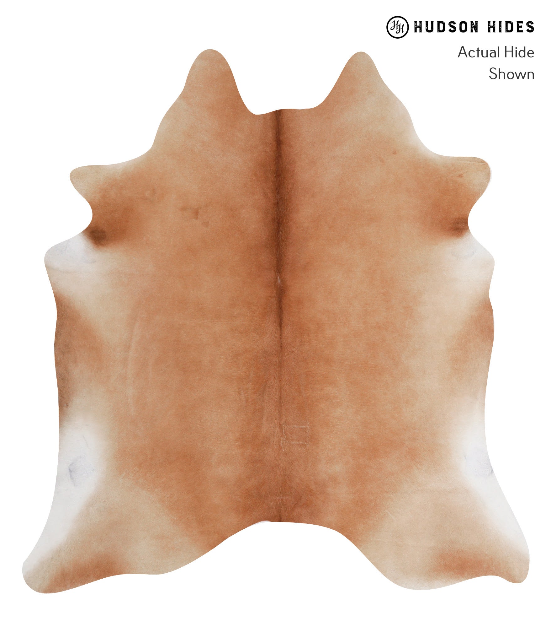 Solid Brown Cowhide Rug #A3280