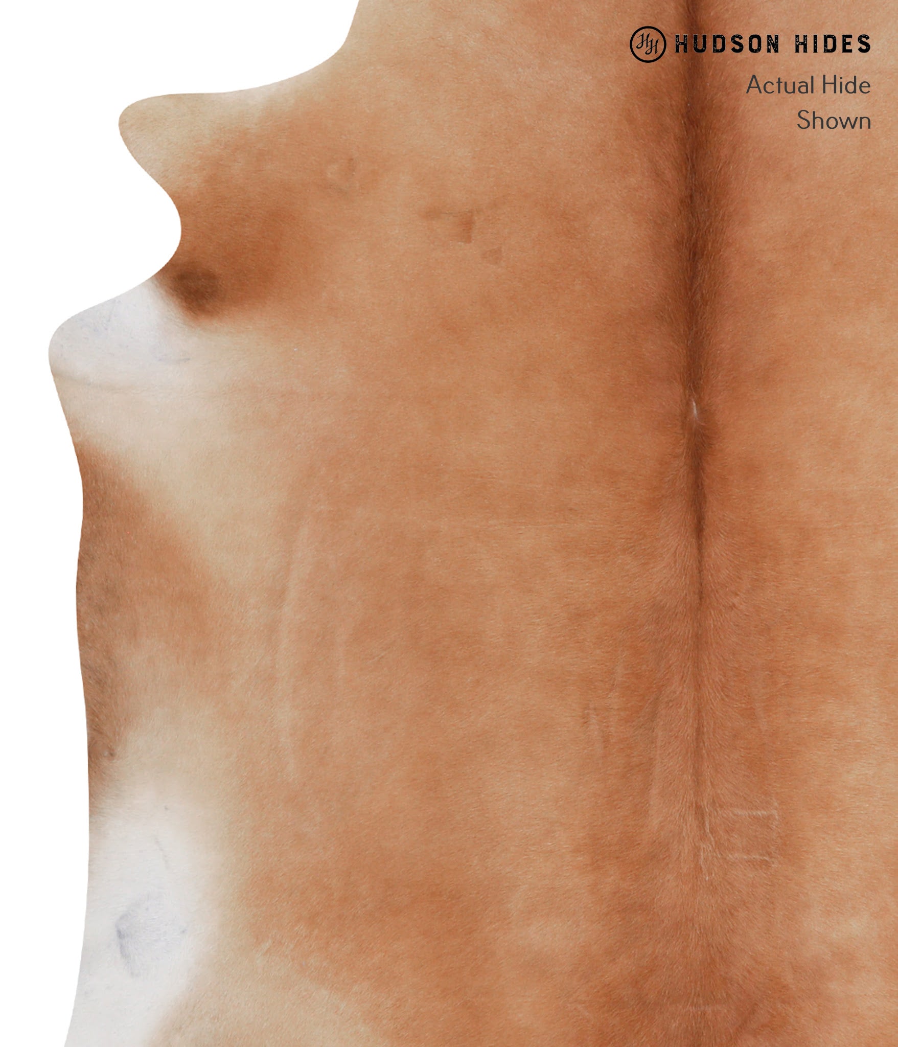 Solid Brown Cowhide Rug #A3280