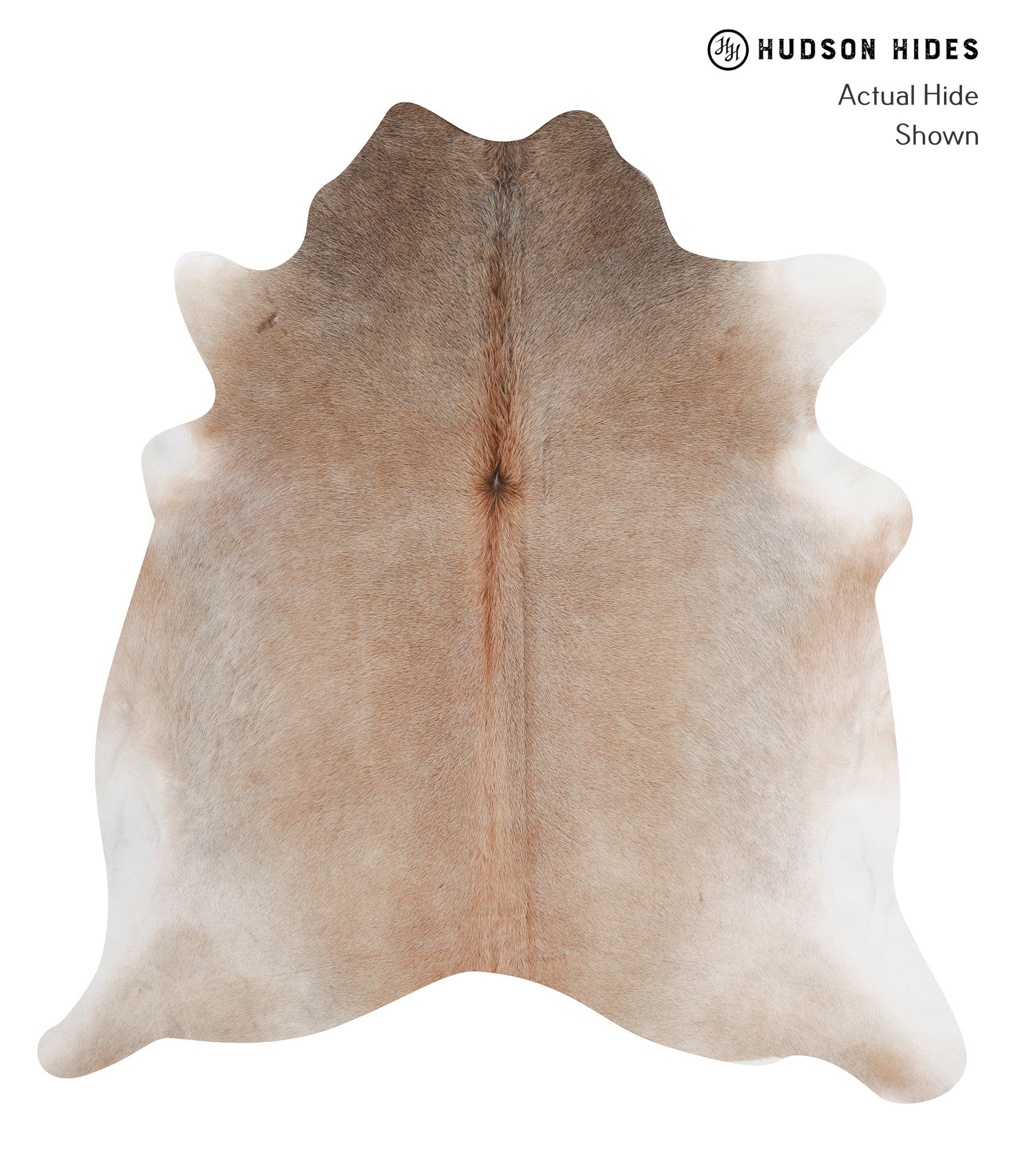 Grey with Beige Cowhide Rug #A3315