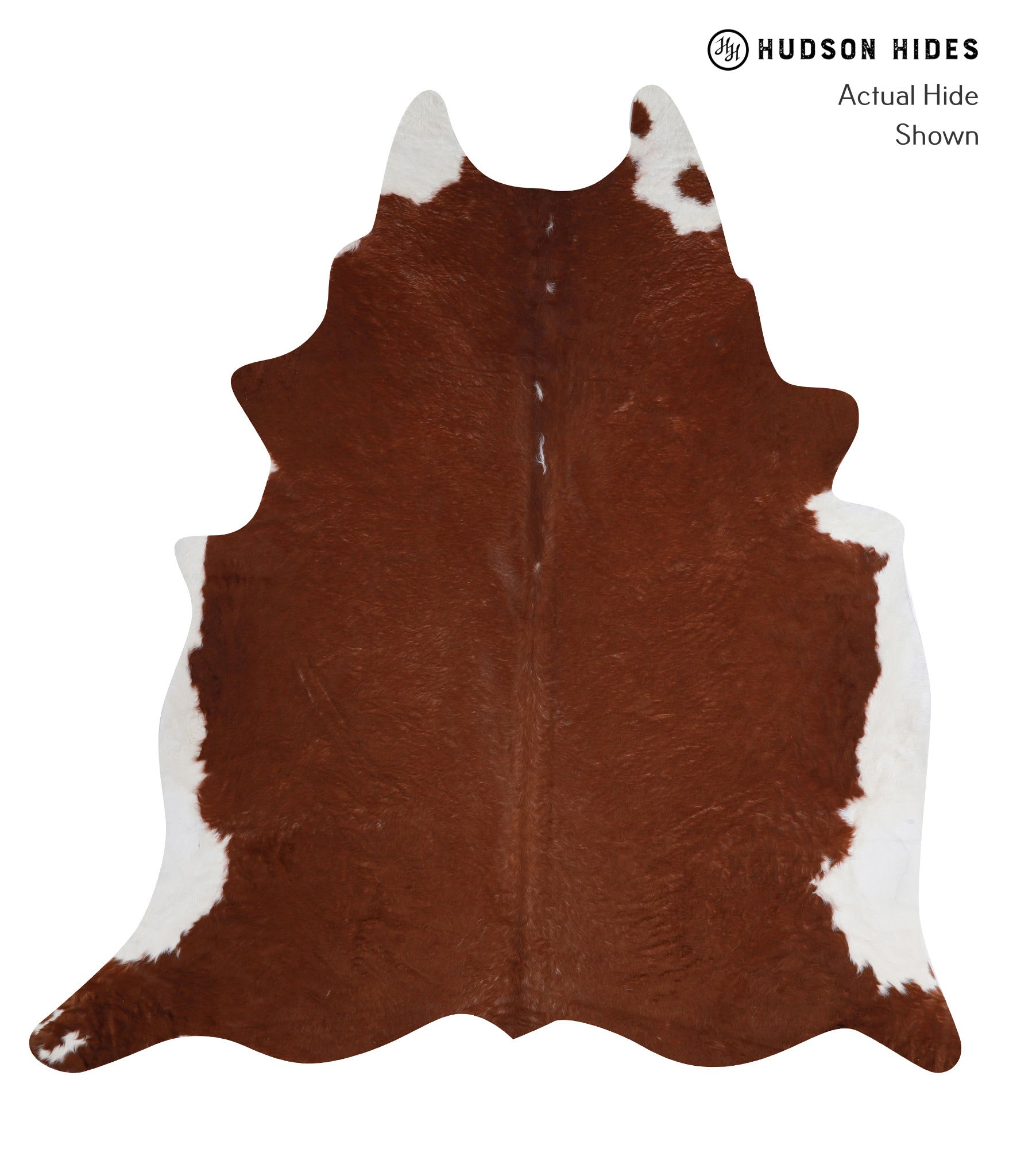 Brown and White Regular Cowhide Rug #A3339