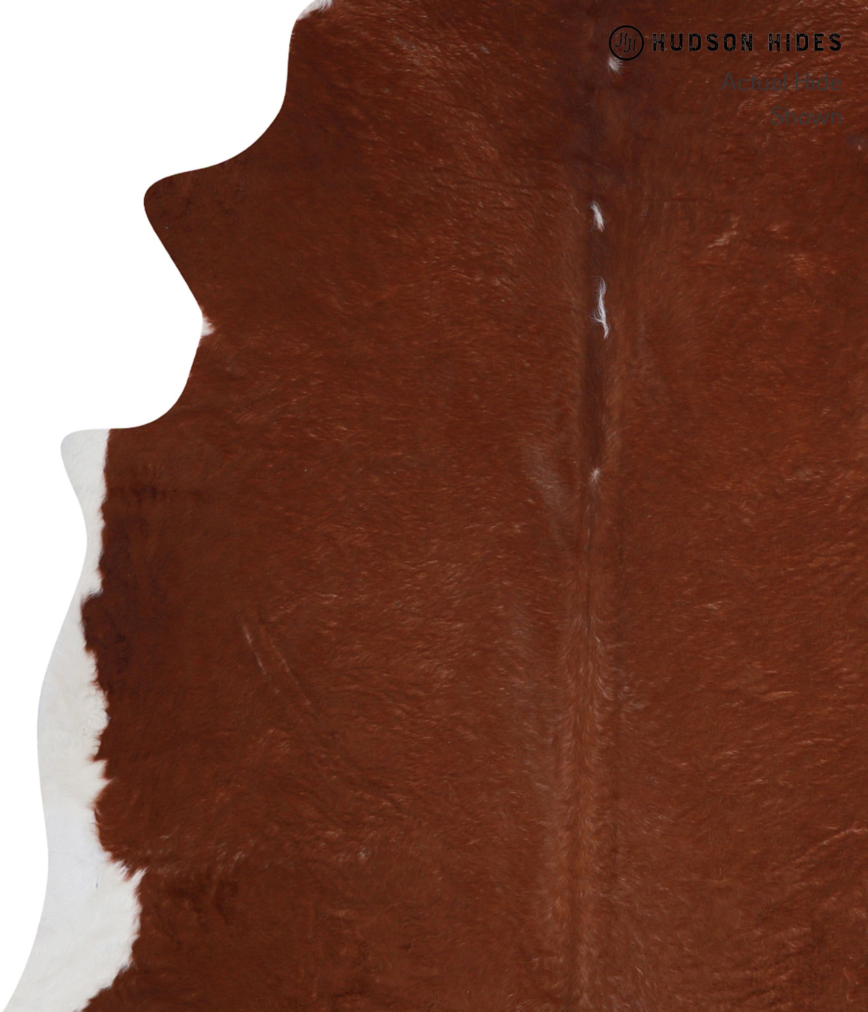 Brown and White Regular Cowhide Rug #A3339