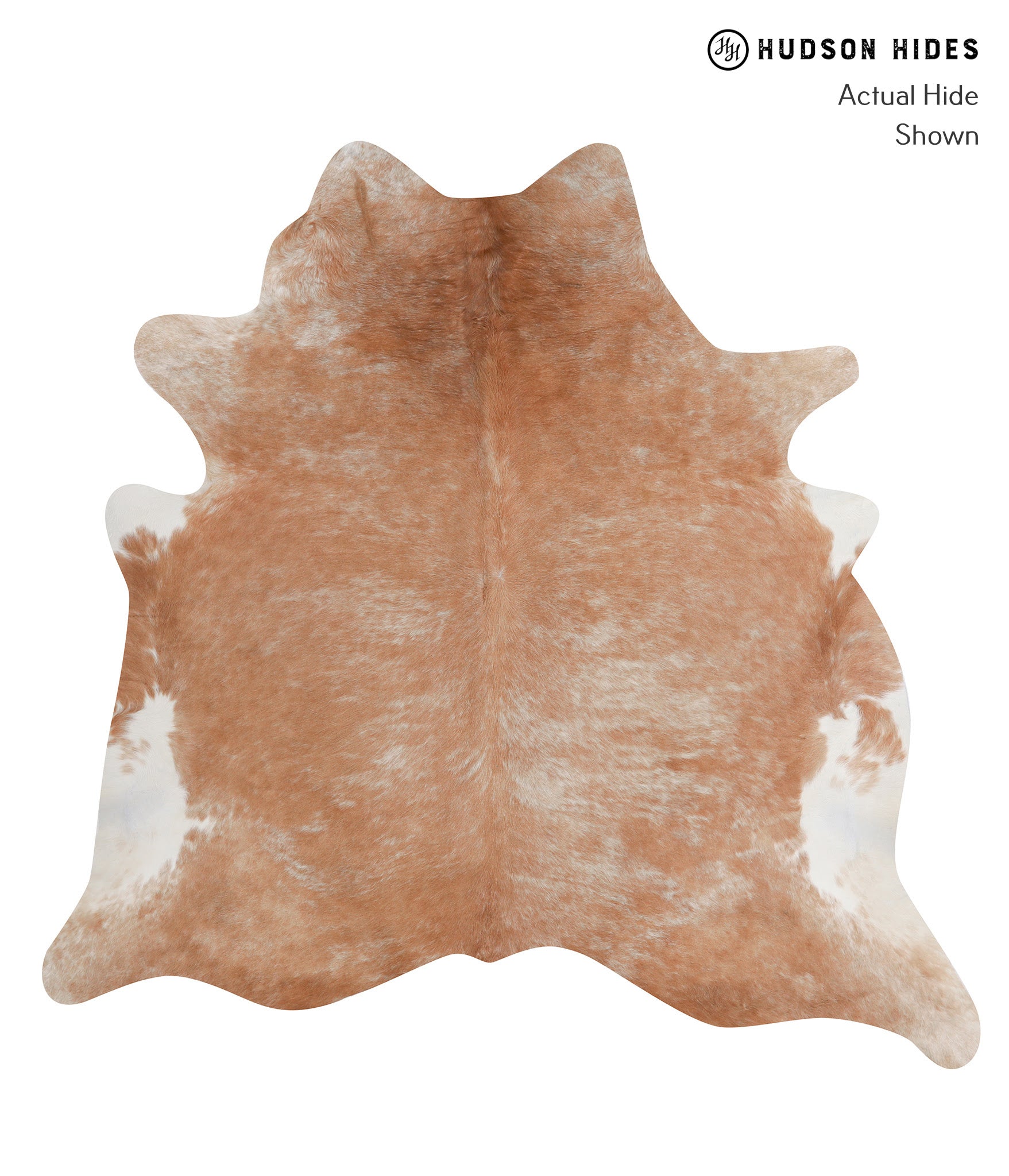 Caramel Cowhide Rug #A3367