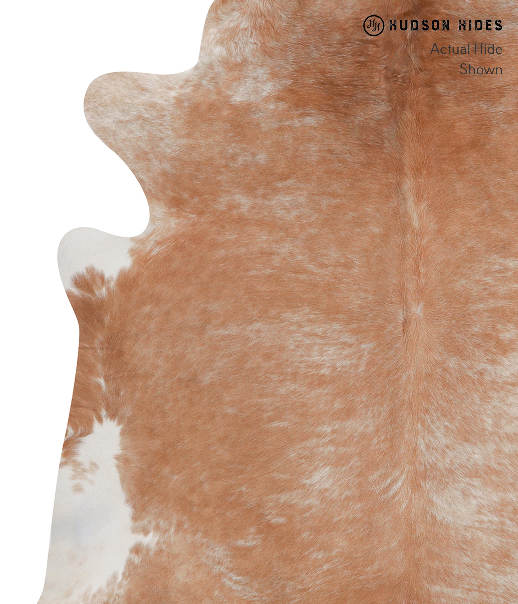 Caramel Cowhide Rug #A3367